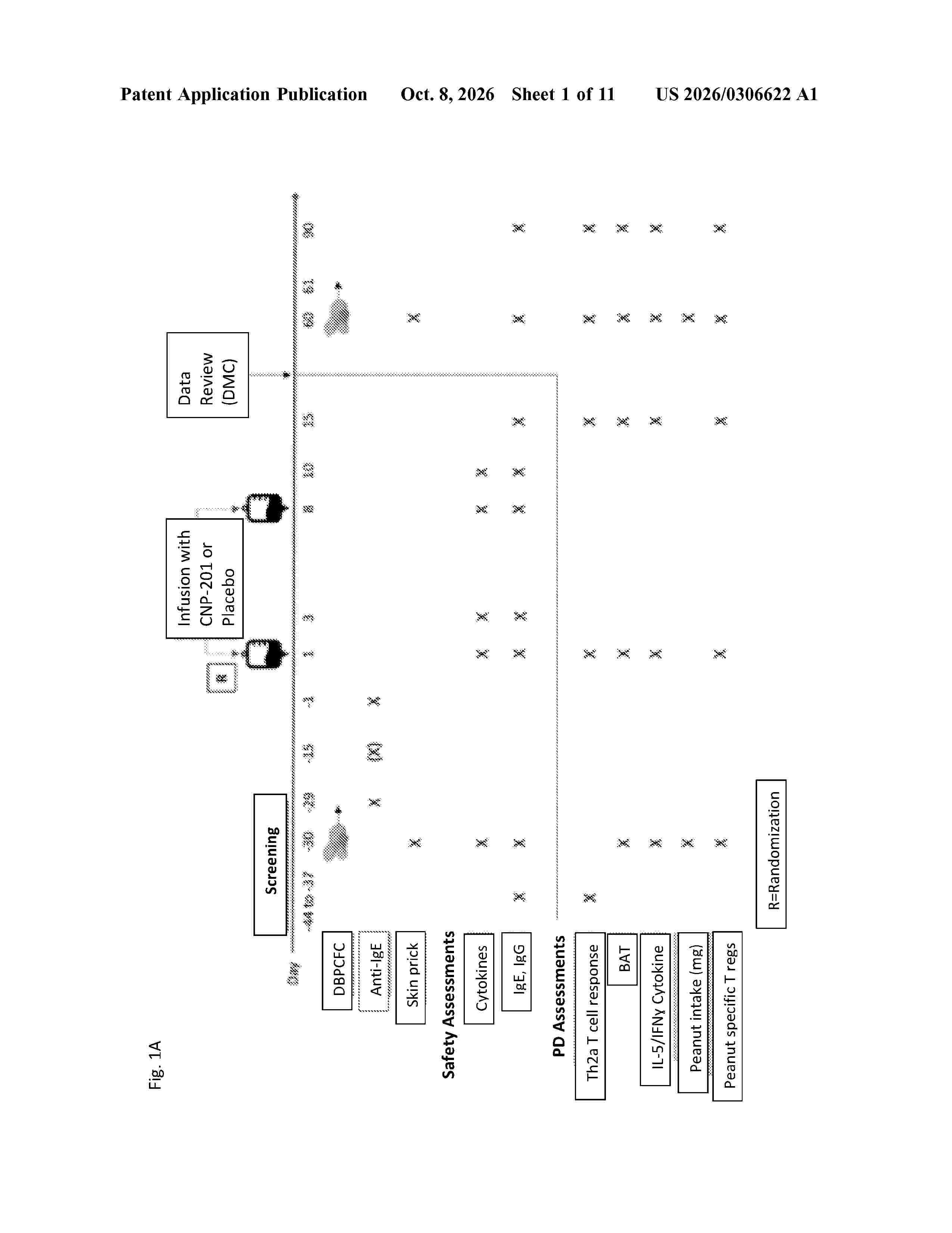 US_20260306622_A1