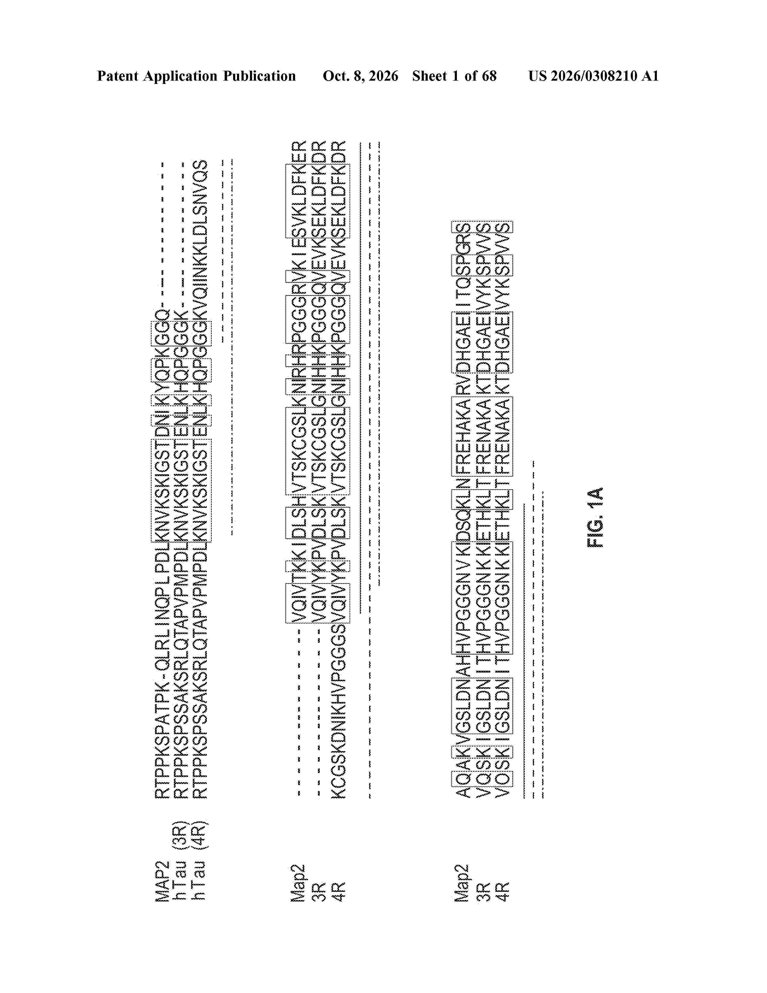 US_20260308210_A1