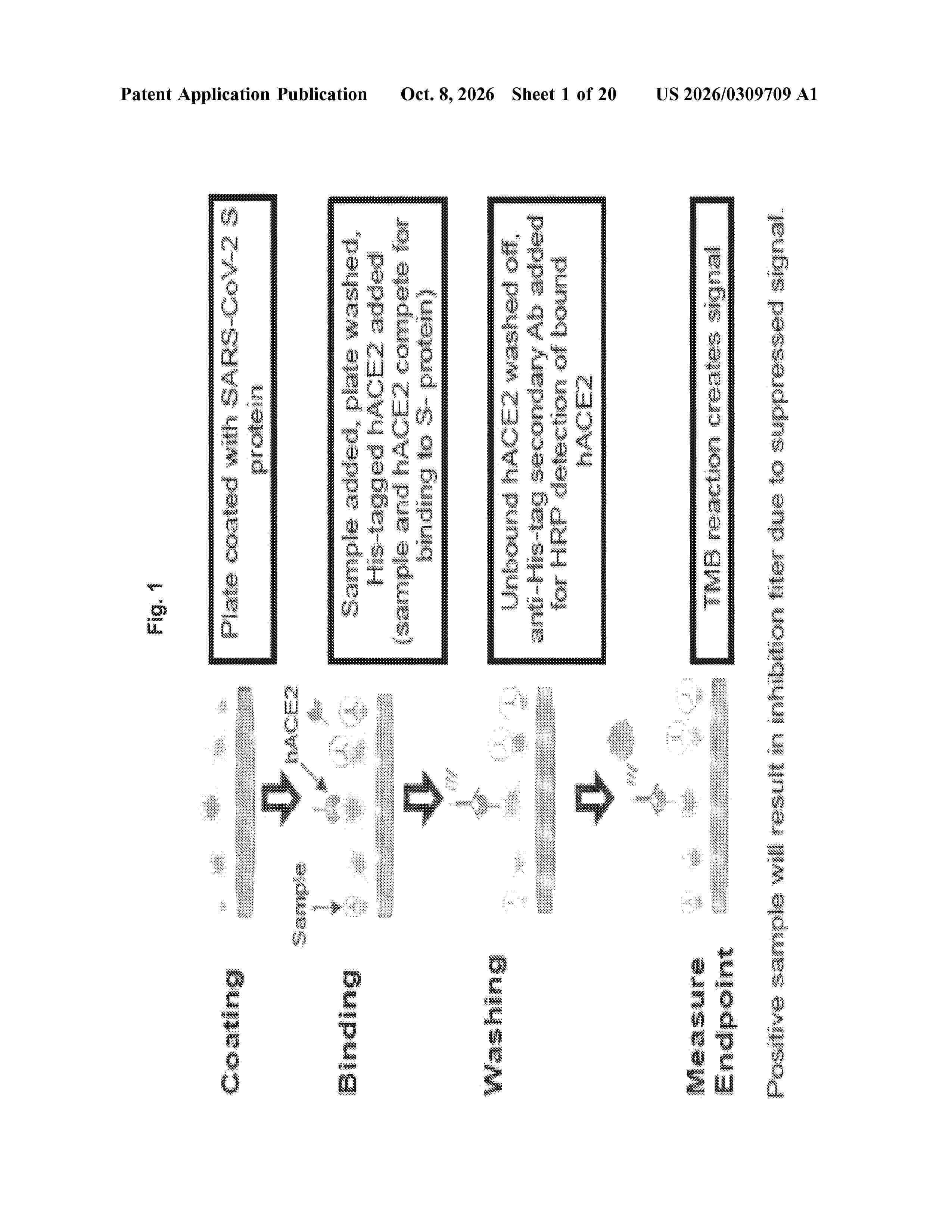 US_20260309709_A1