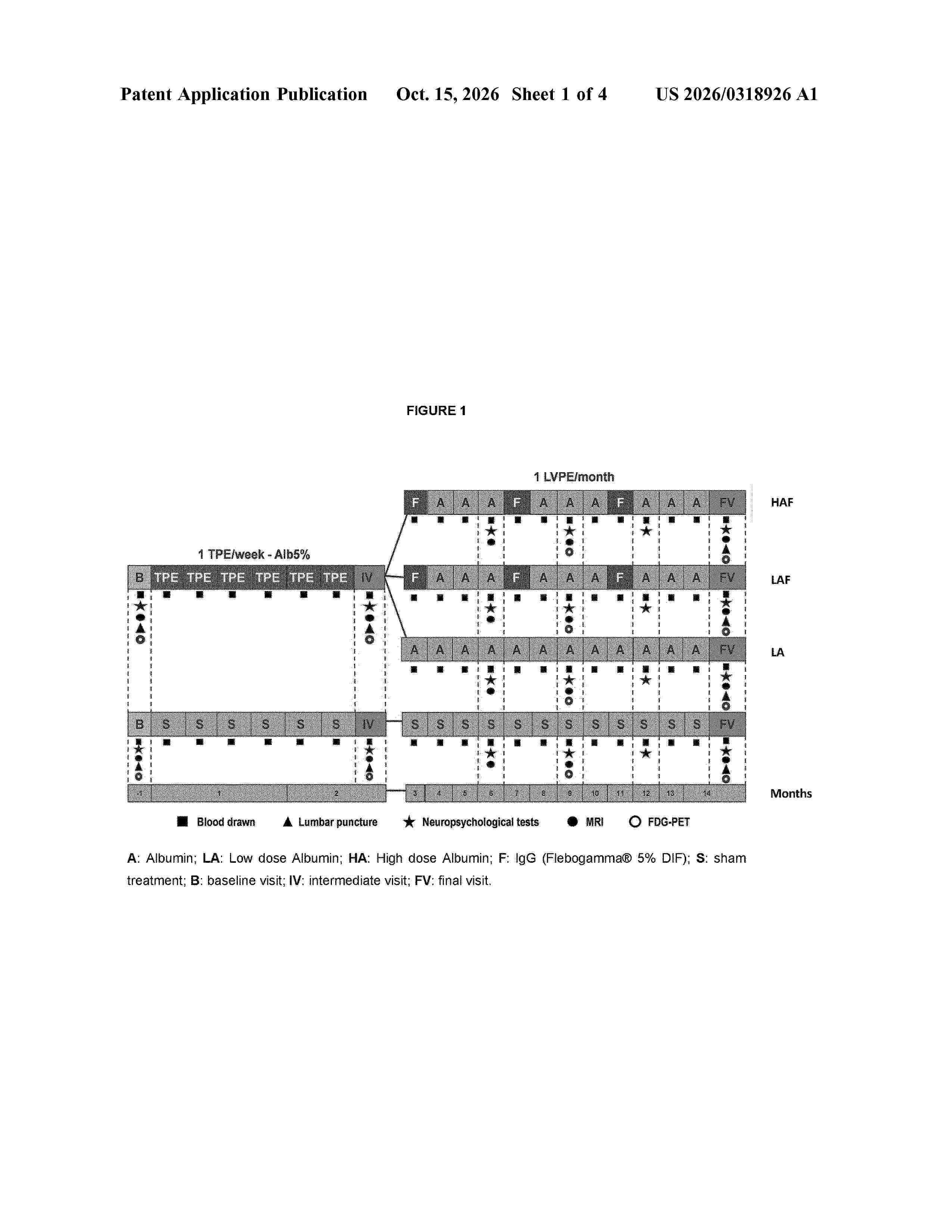 US_20260318926_A1
