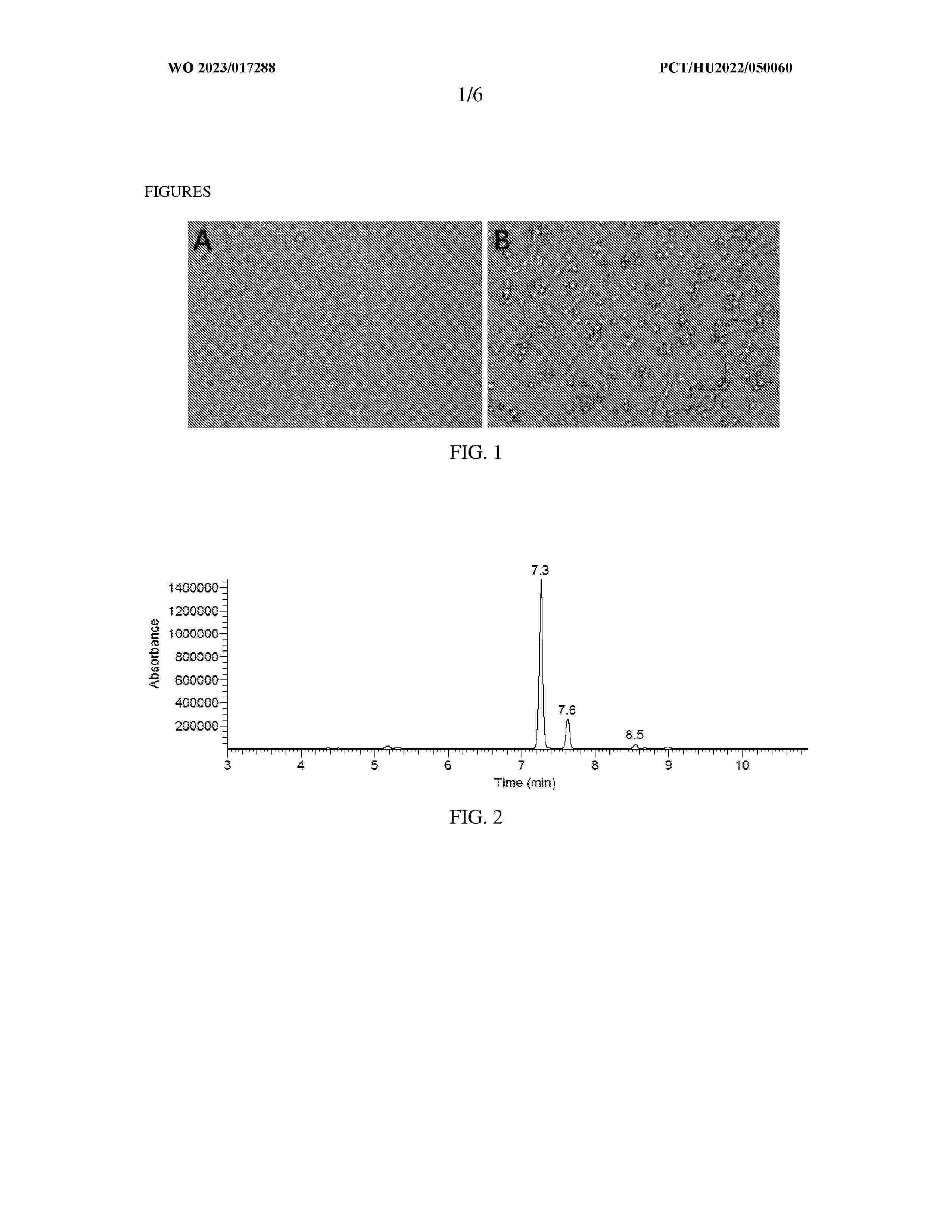 WO_2023017288_A1