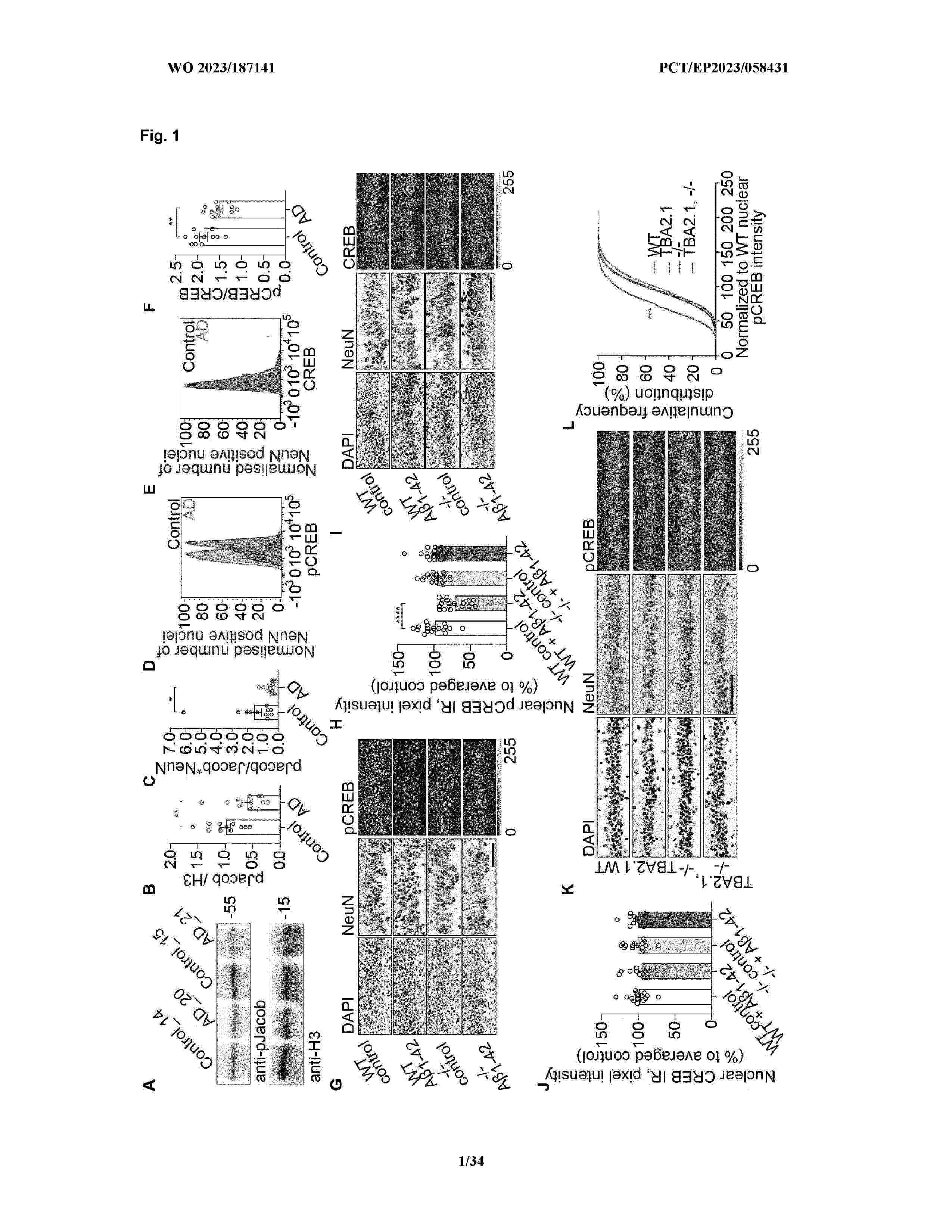 WO_2023187141_A1