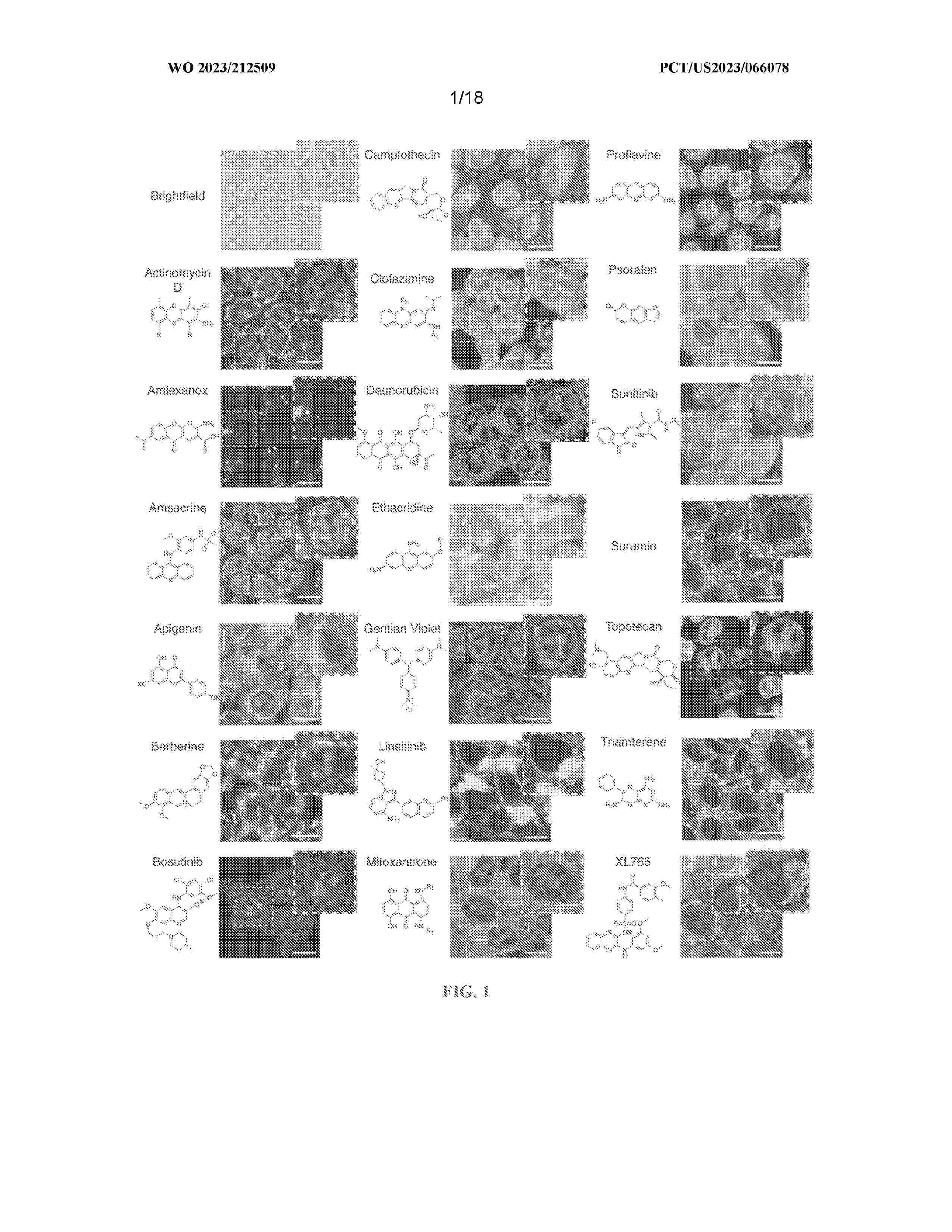 WO_2023212509_A1