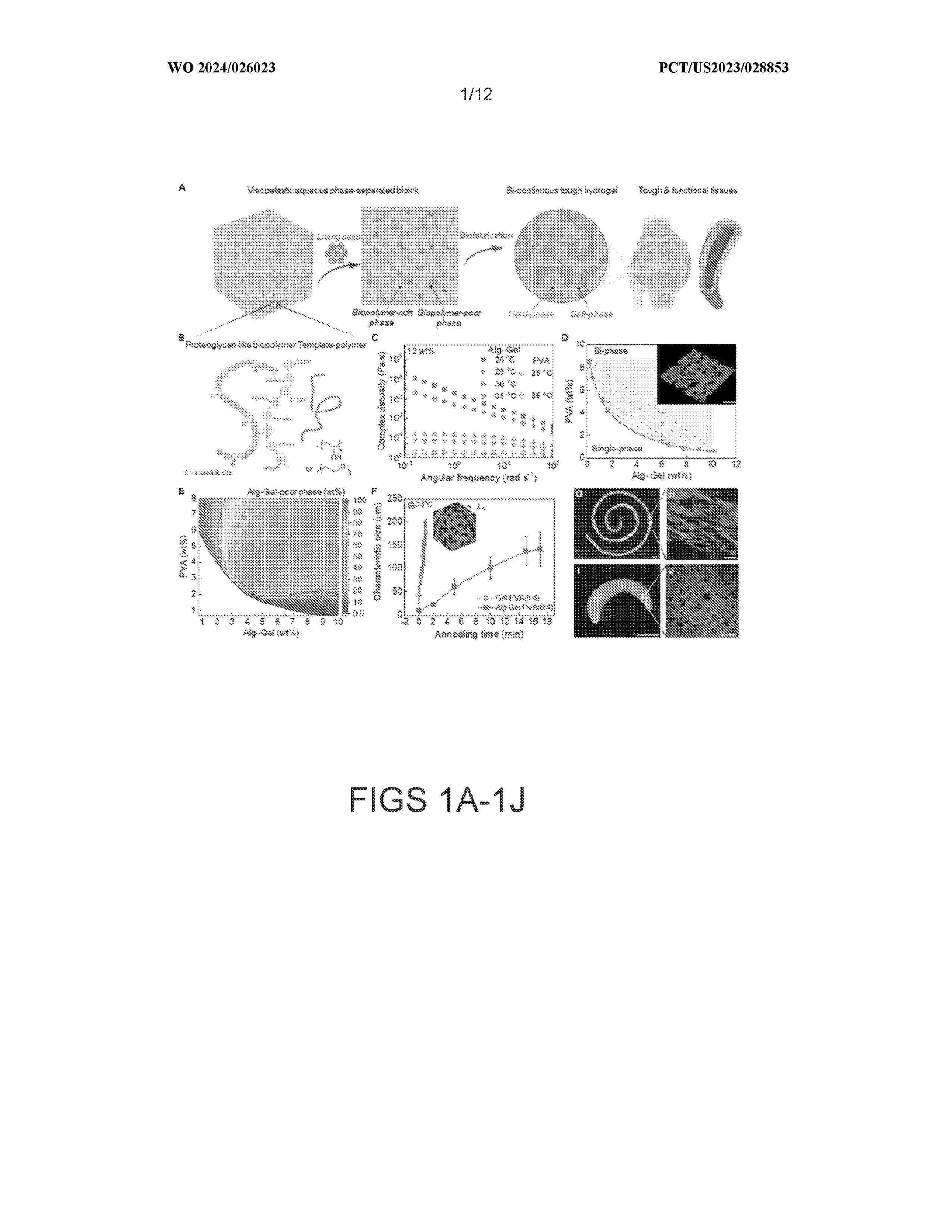 WO_2024026023_A2