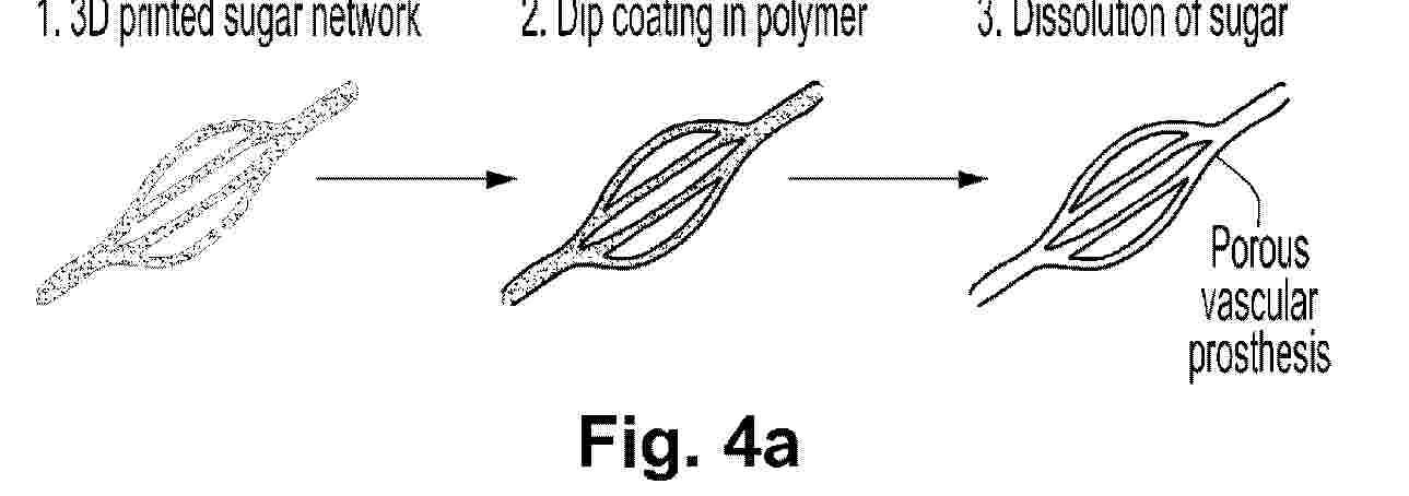 WO_2024059942_PA