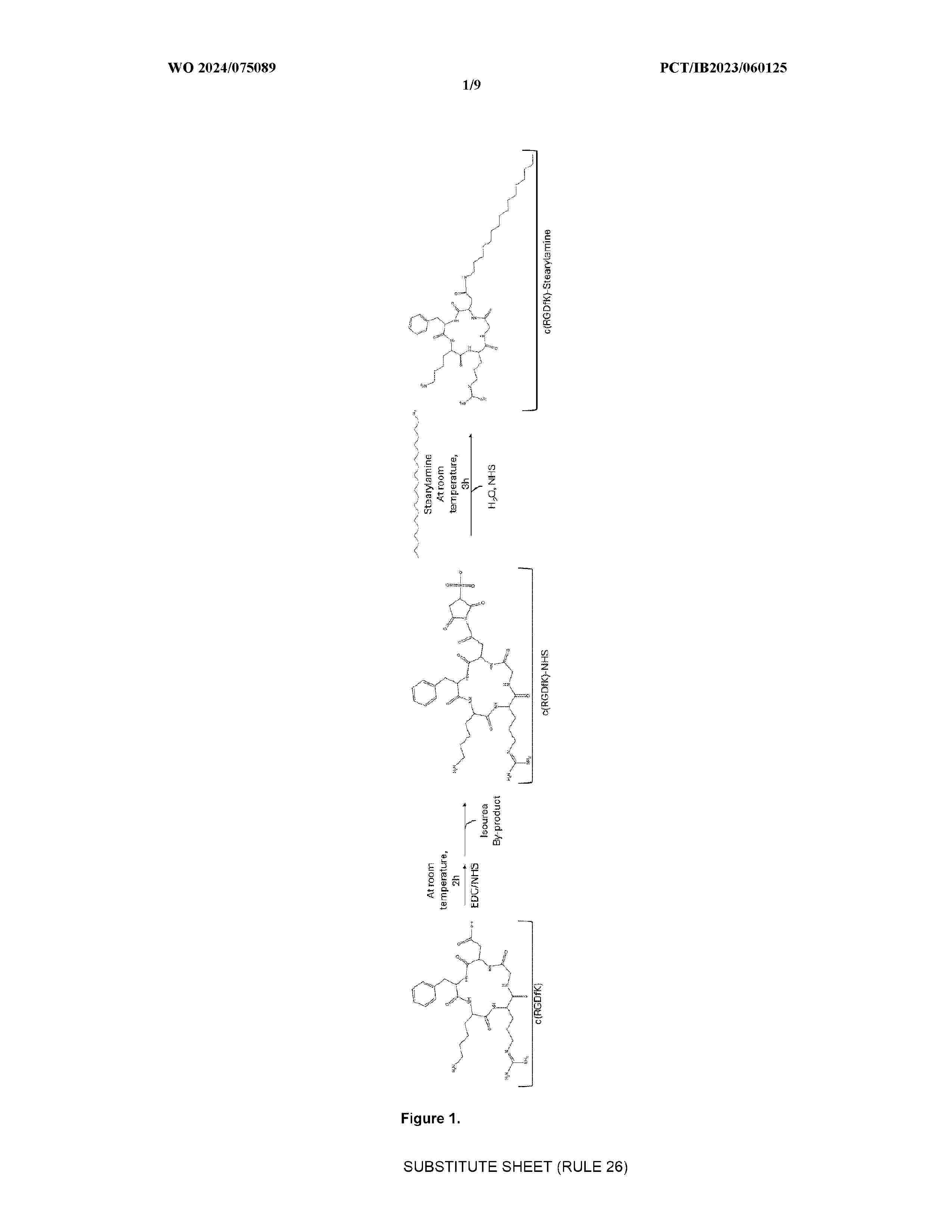 WO_2024075089_A1