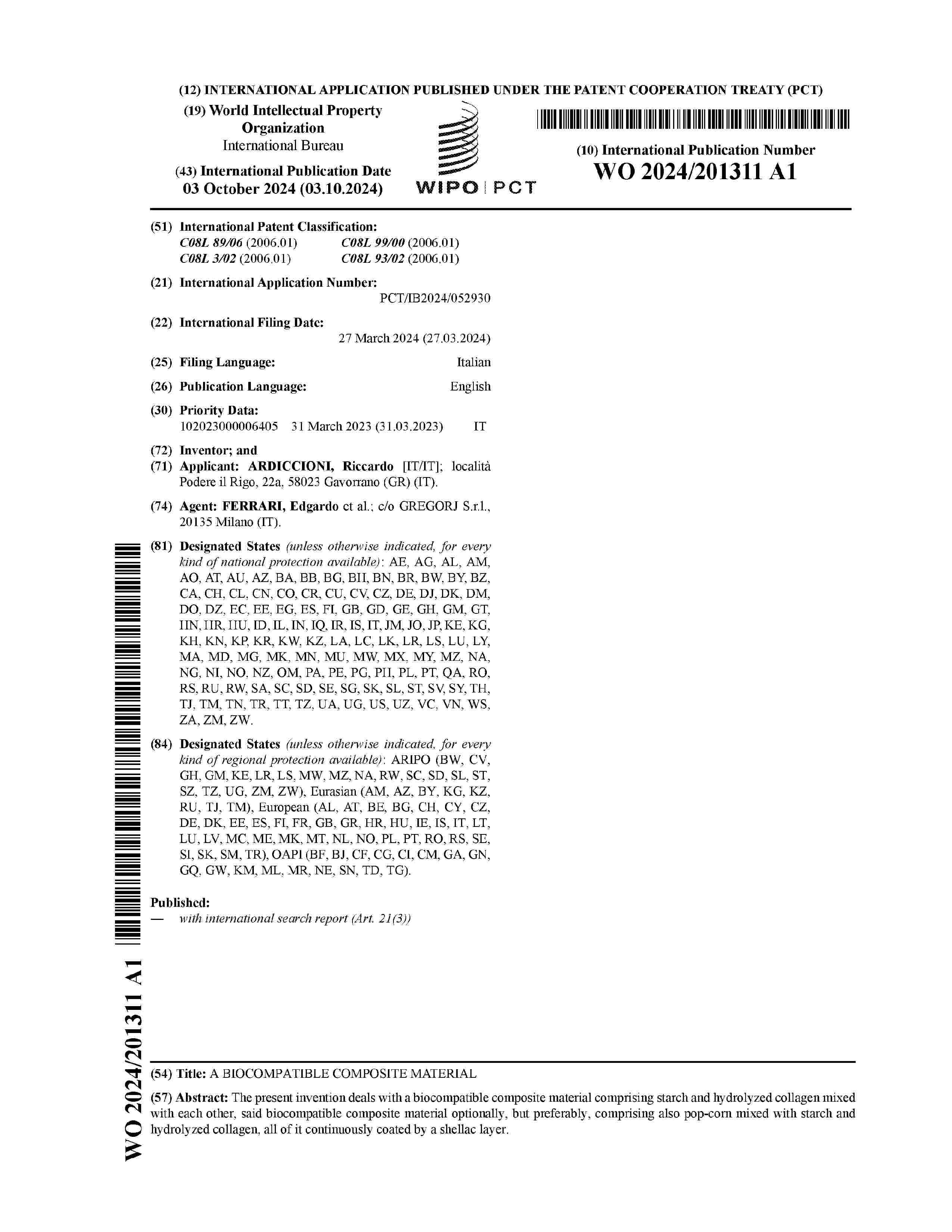 WO_2024201311_A1