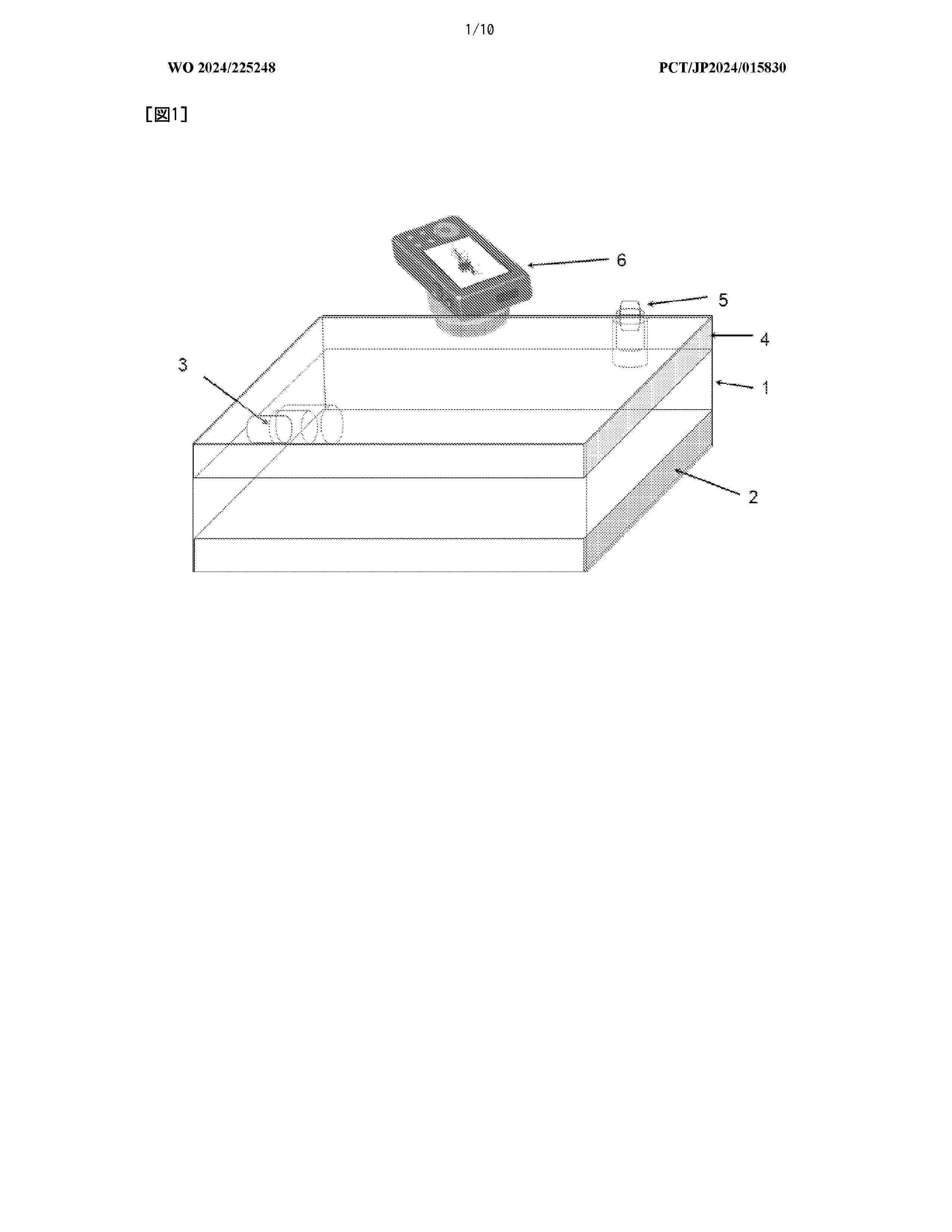 WO_2024225248_A1