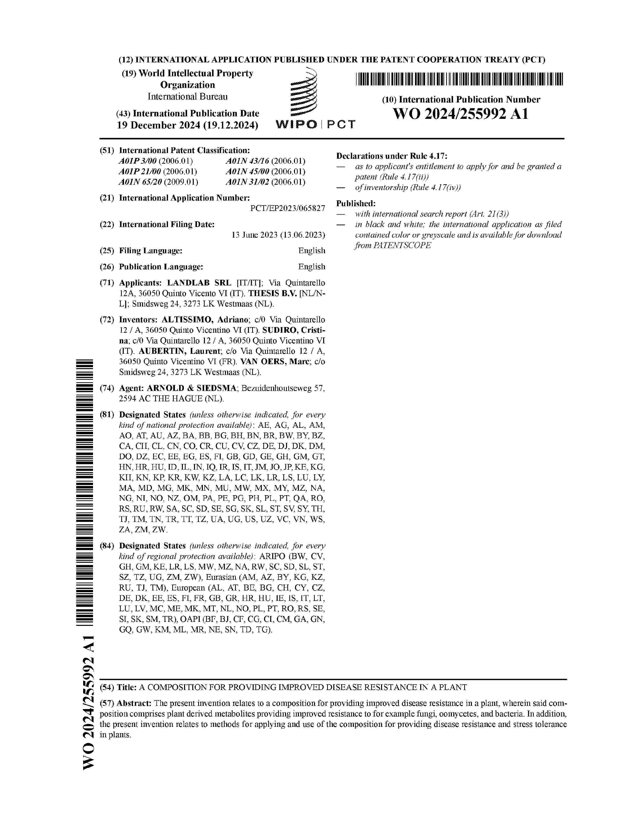 WO_2024255992_A1