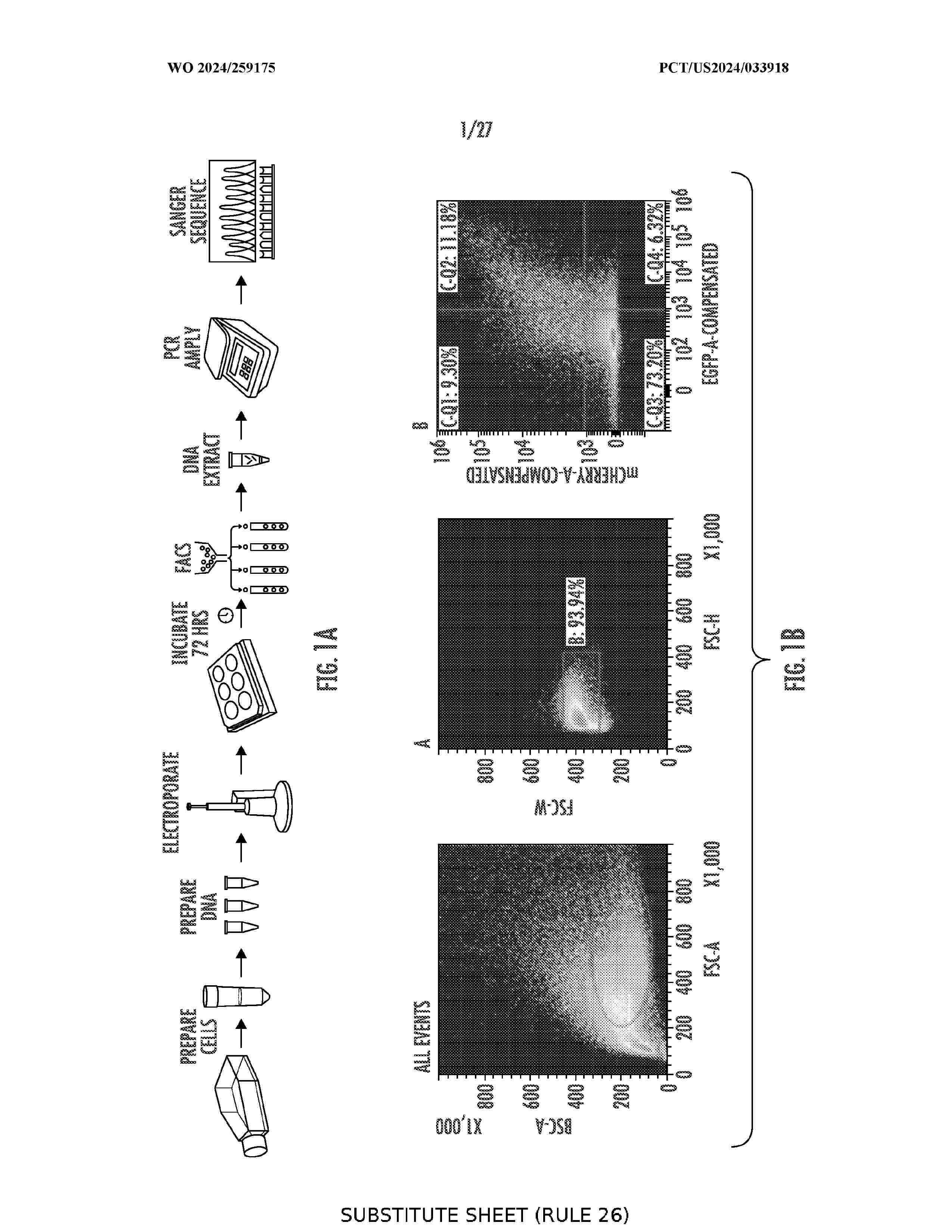 WO_2024259175_A2