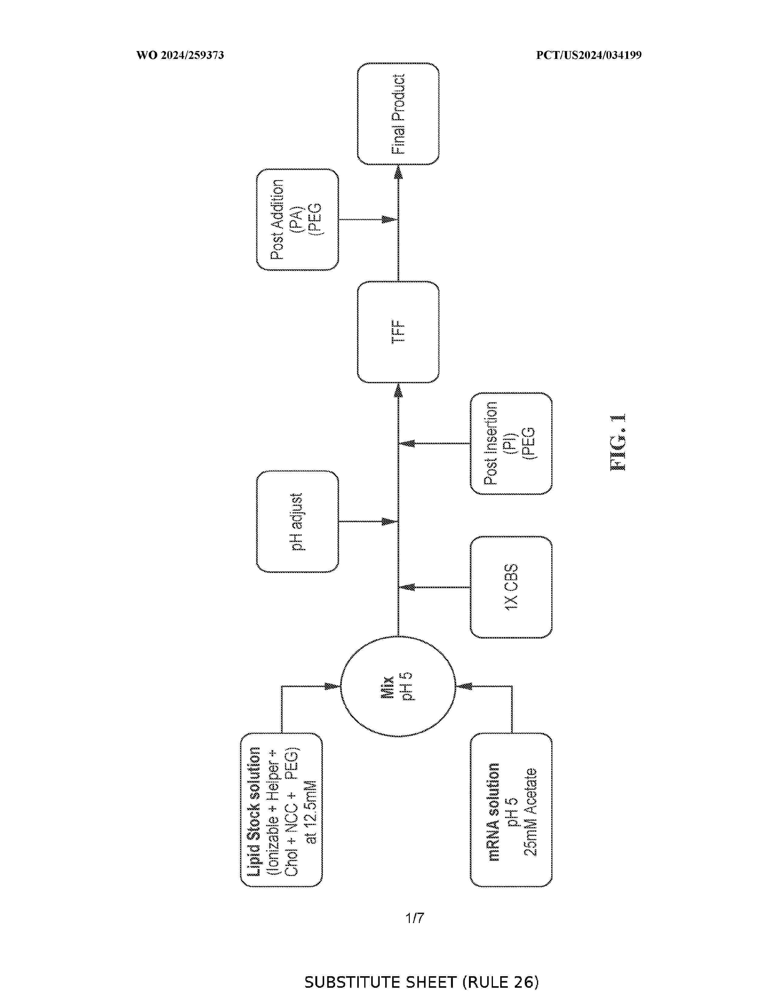 WO_2024259373_A1