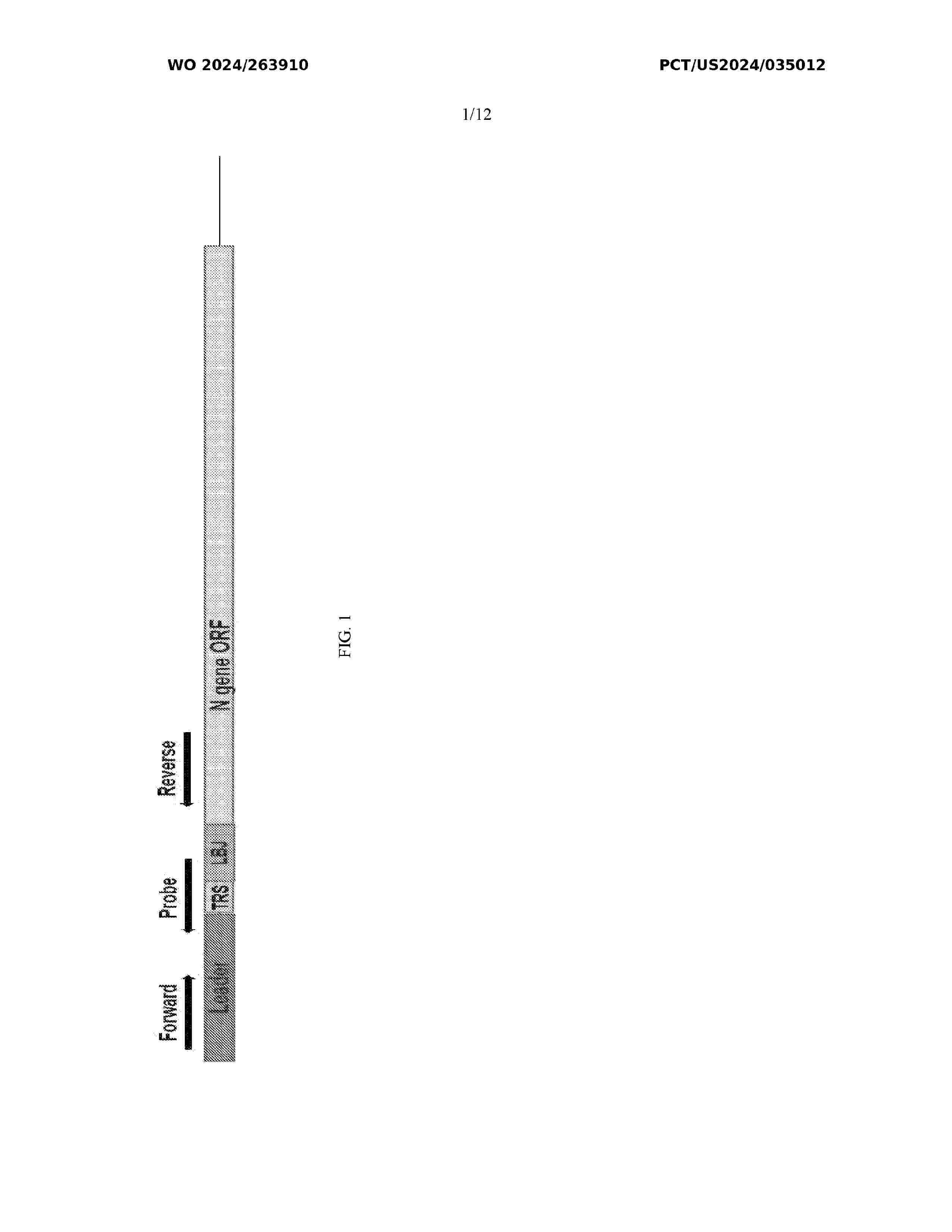 WO_2024263910_A1