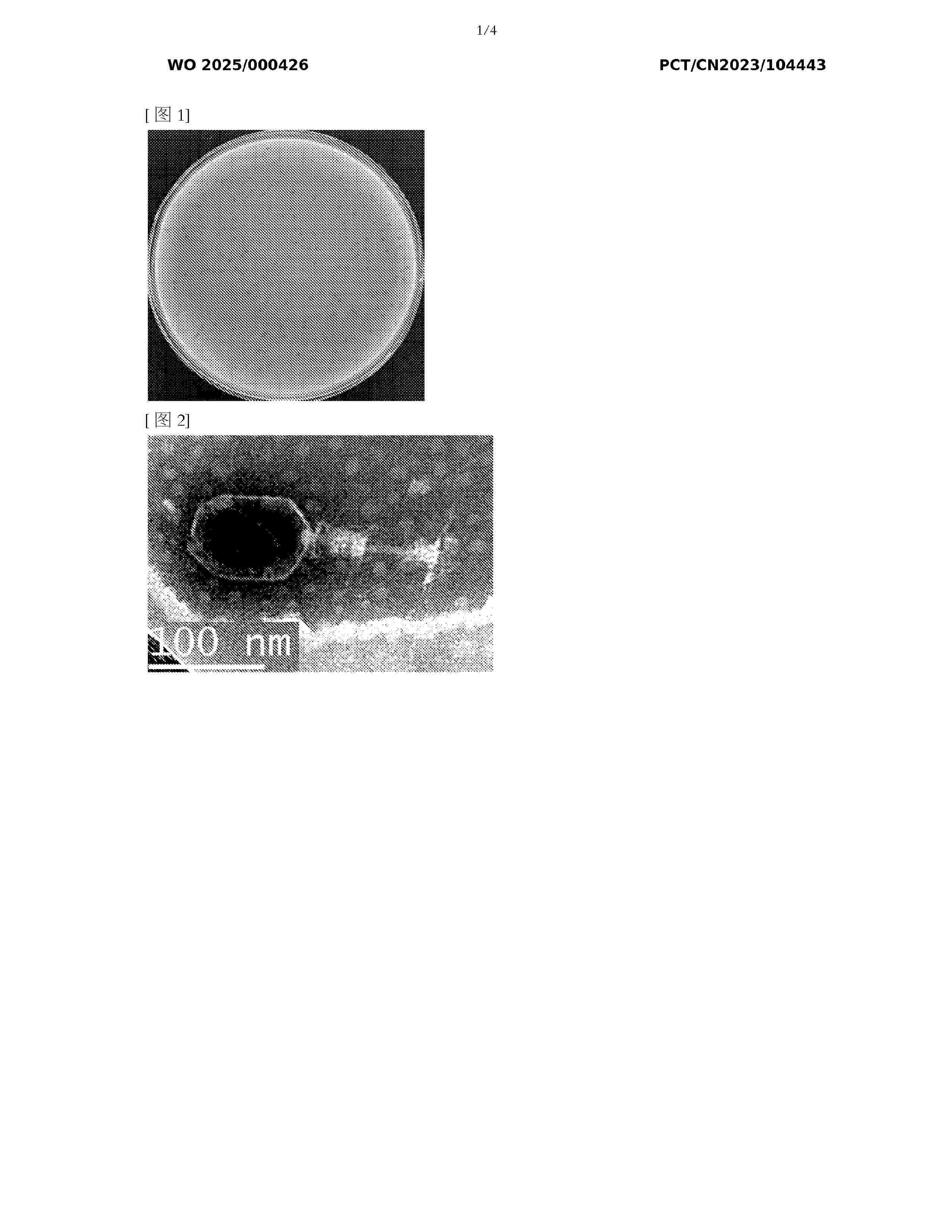 WO_2025000426_A1