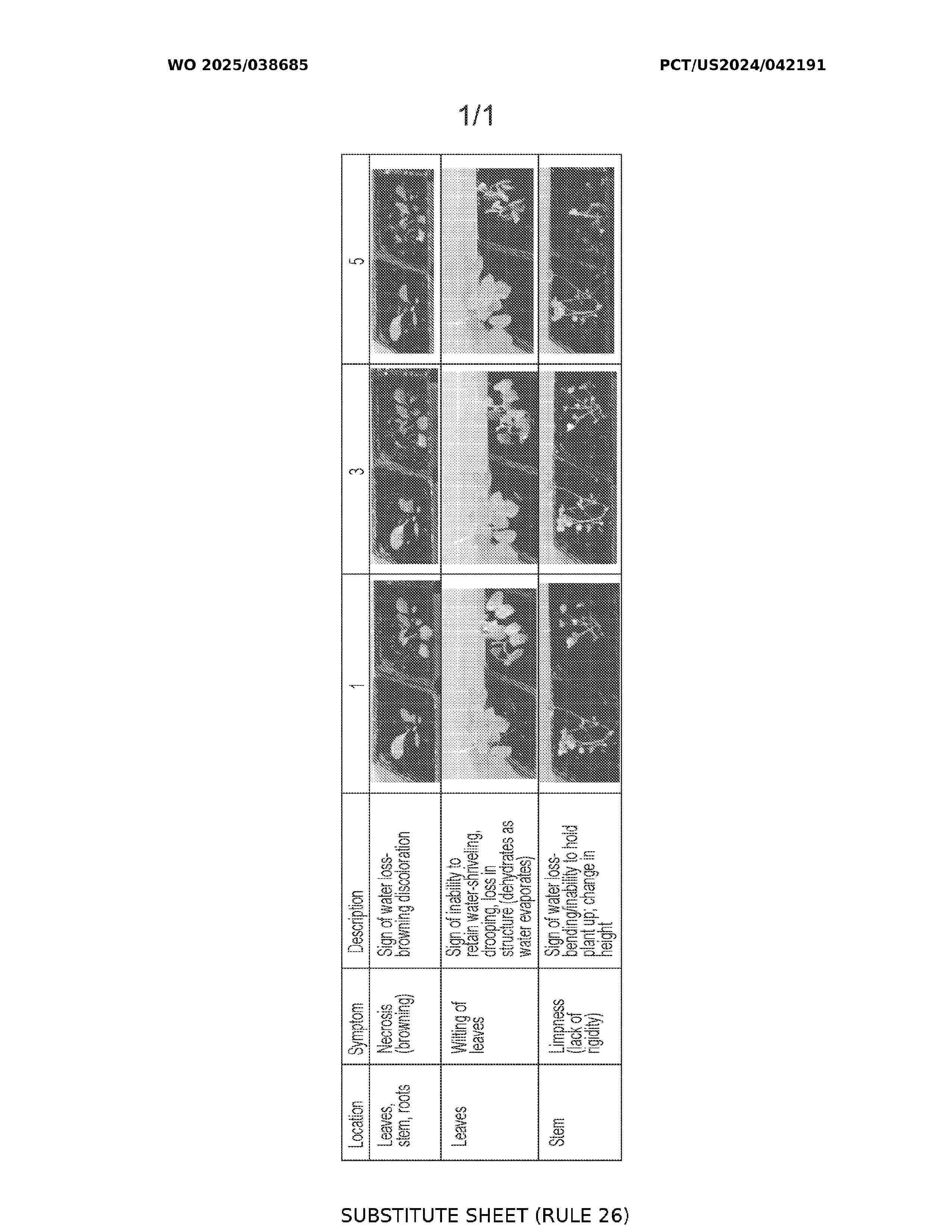 WO_2025038685_A1