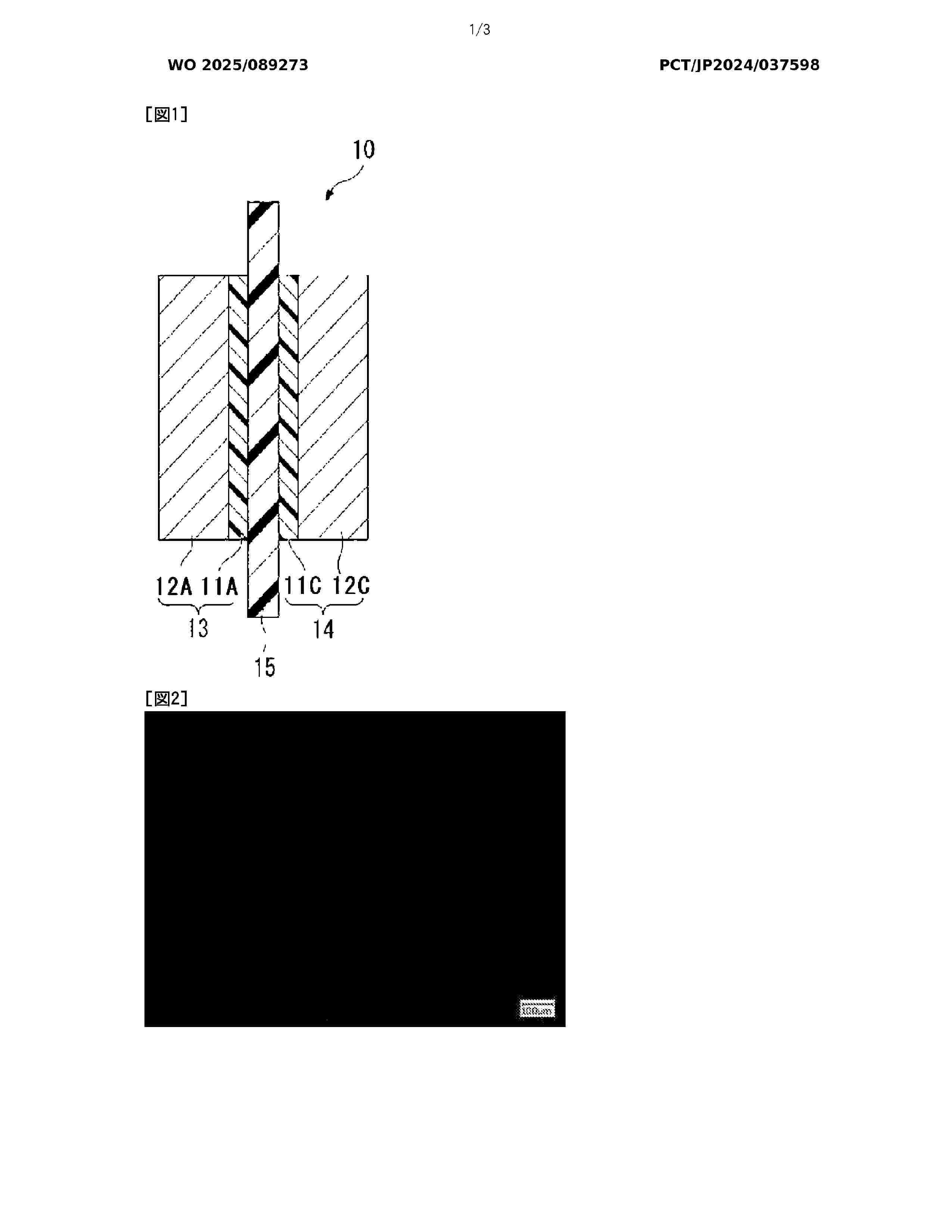 WO_2025089273_A1