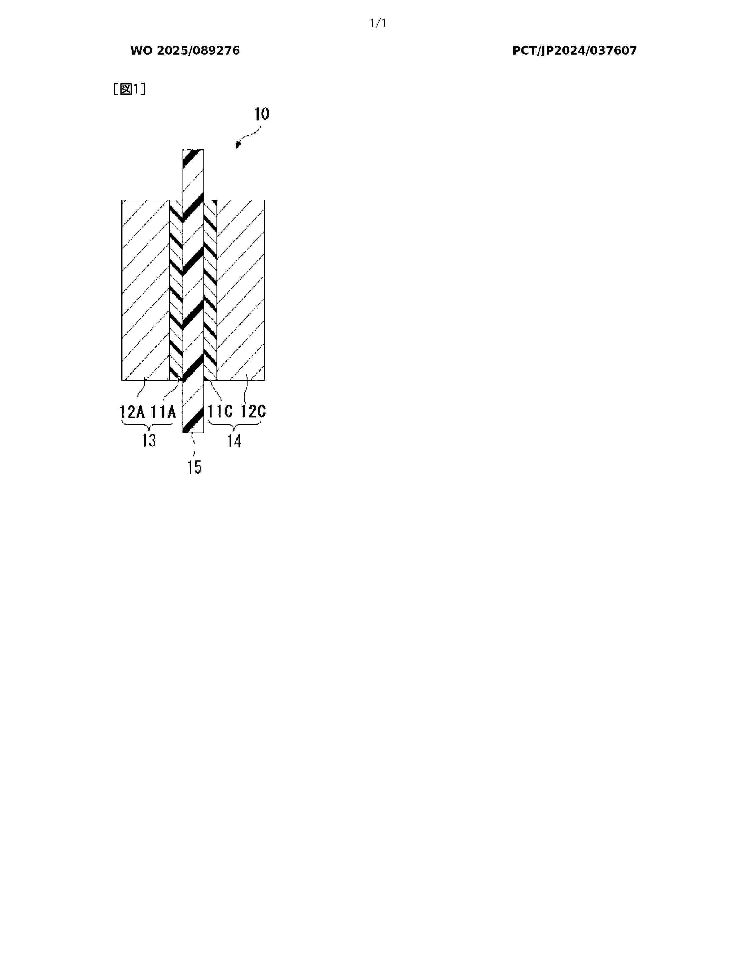 WO_2025089276_A1