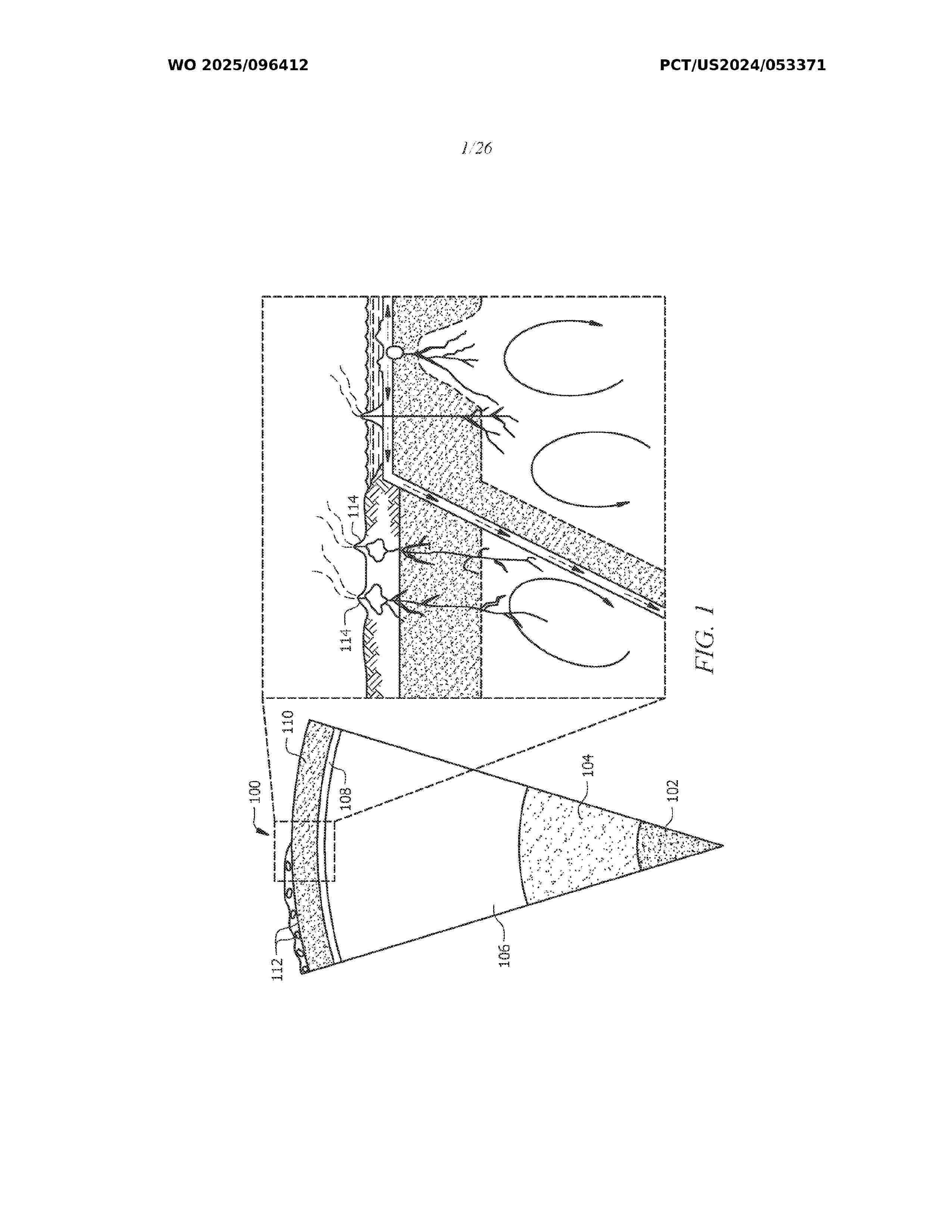 WO_2025096412_A1