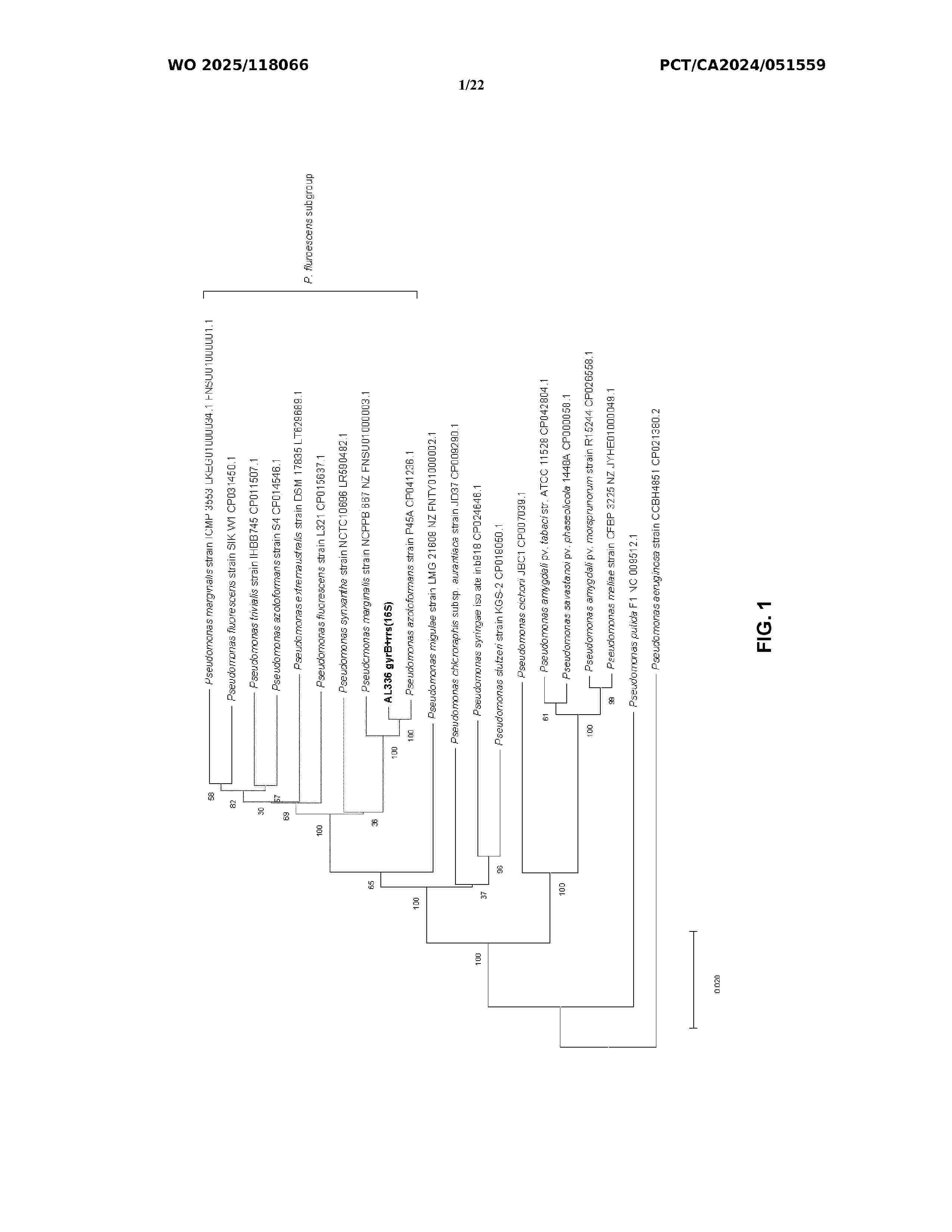 WO_2025118066_A1