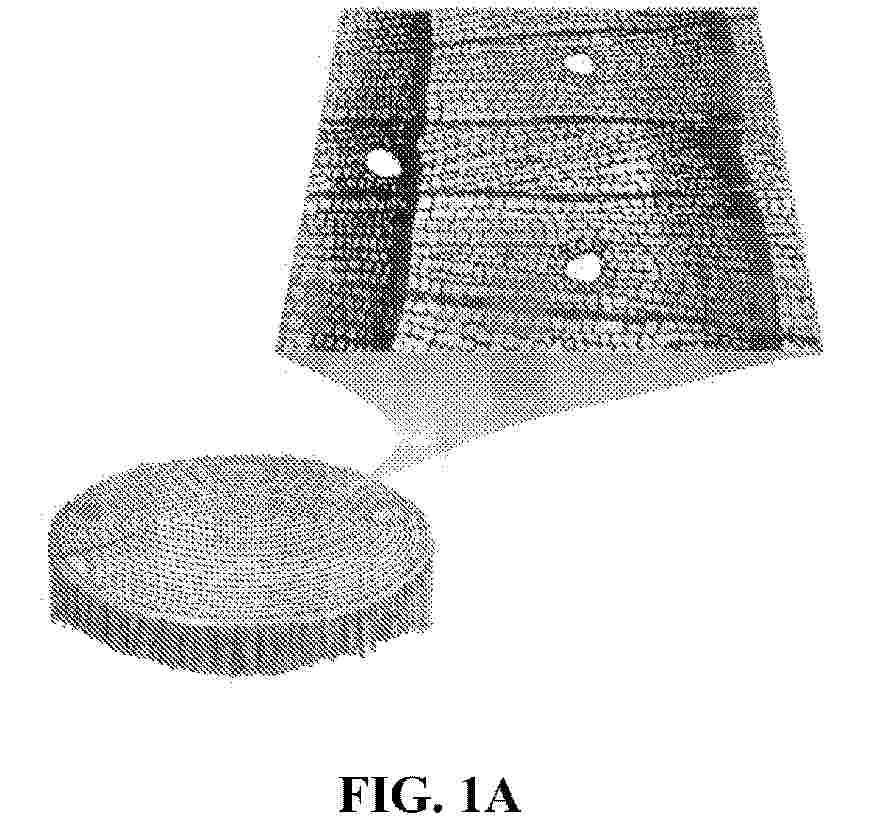 WO_2025122489_PA