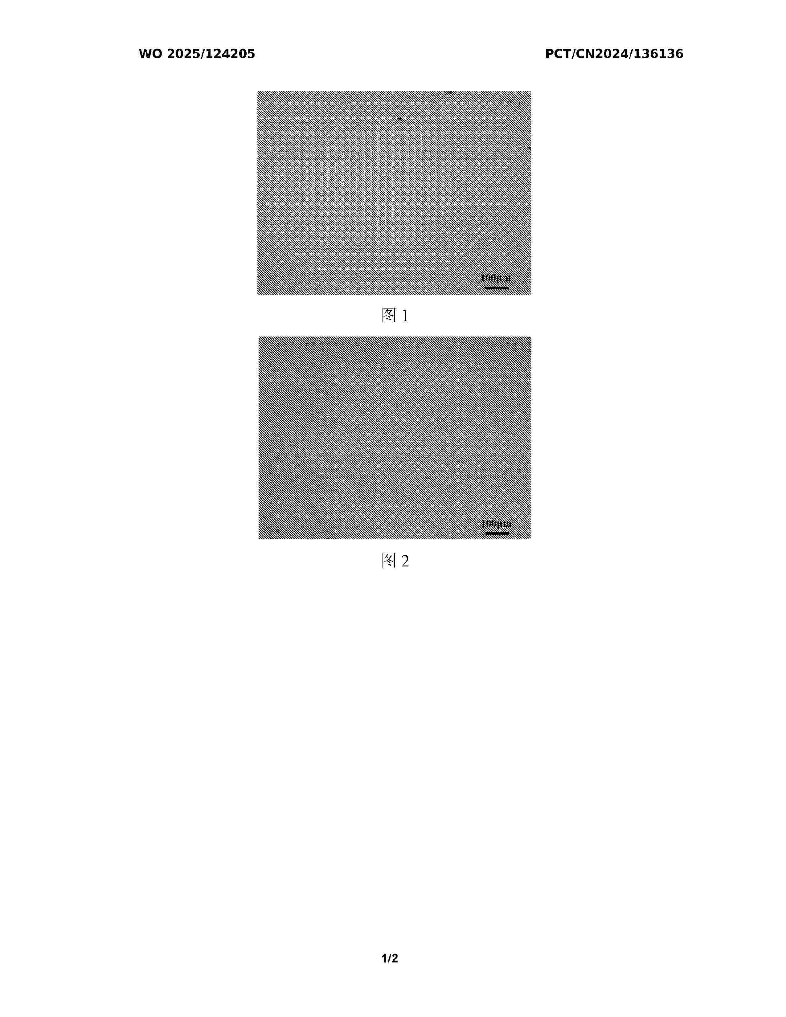 WO_2025124205_A1