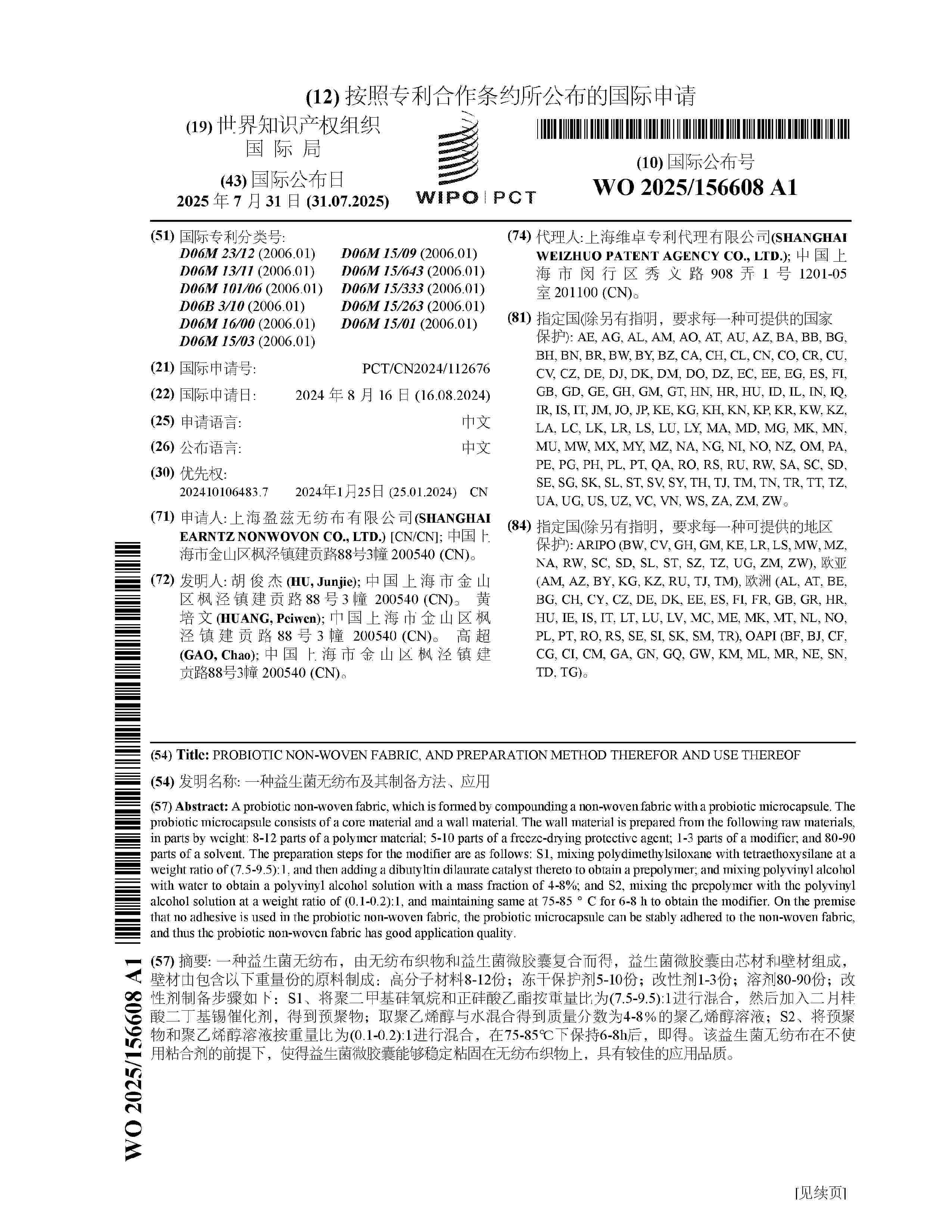 WO_2025156608_A1