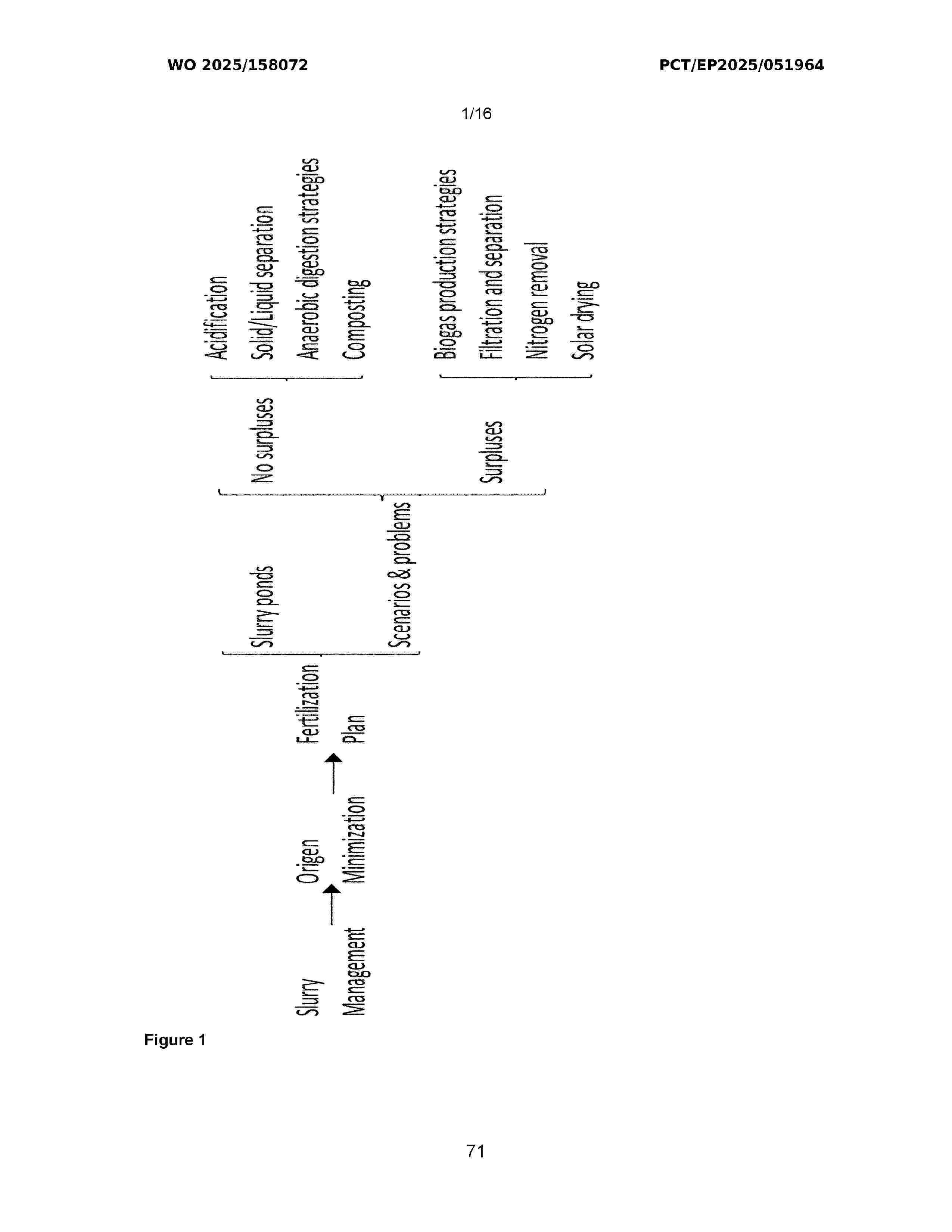 WO_2025158072_A1