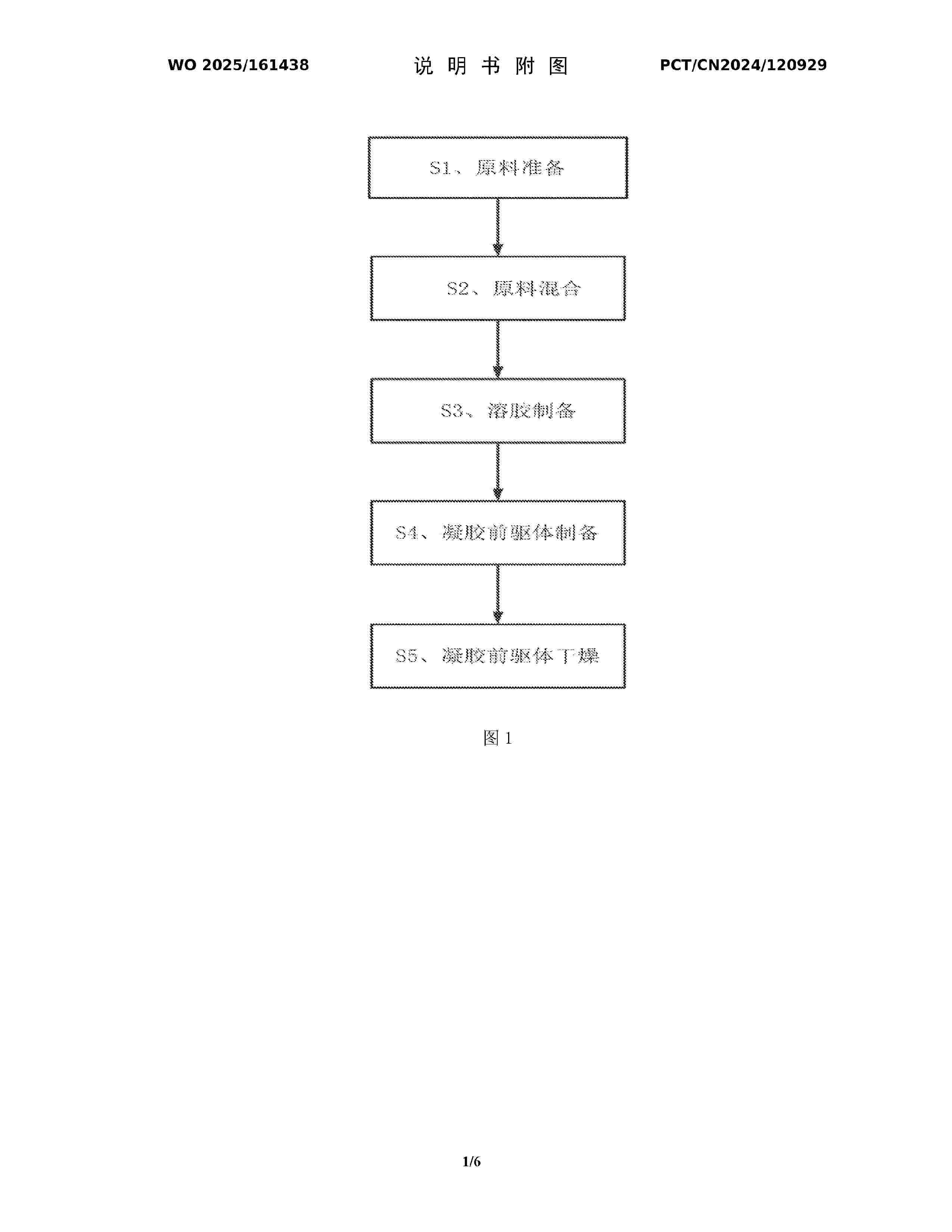 WO_2025161438_A1