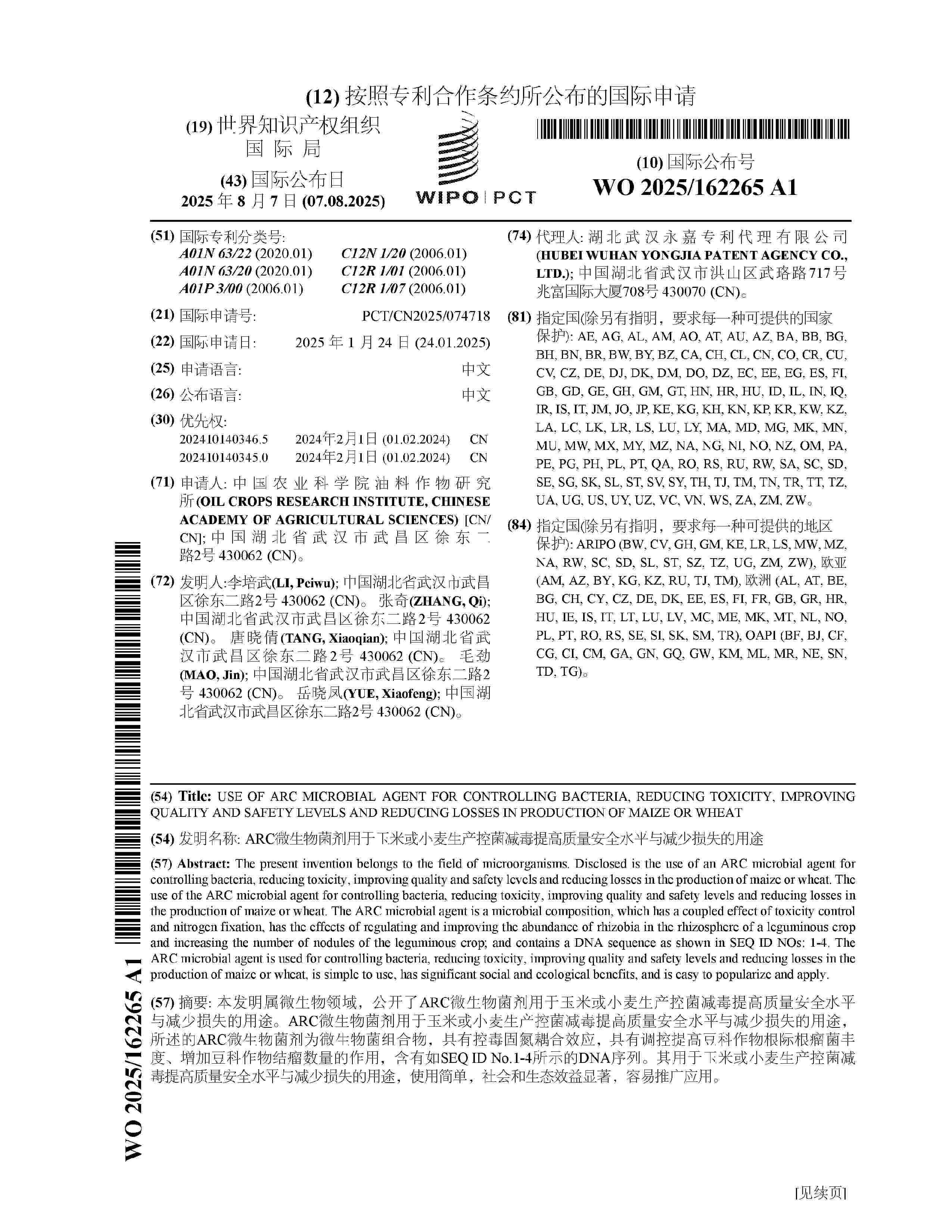 WO_2025162265_A1