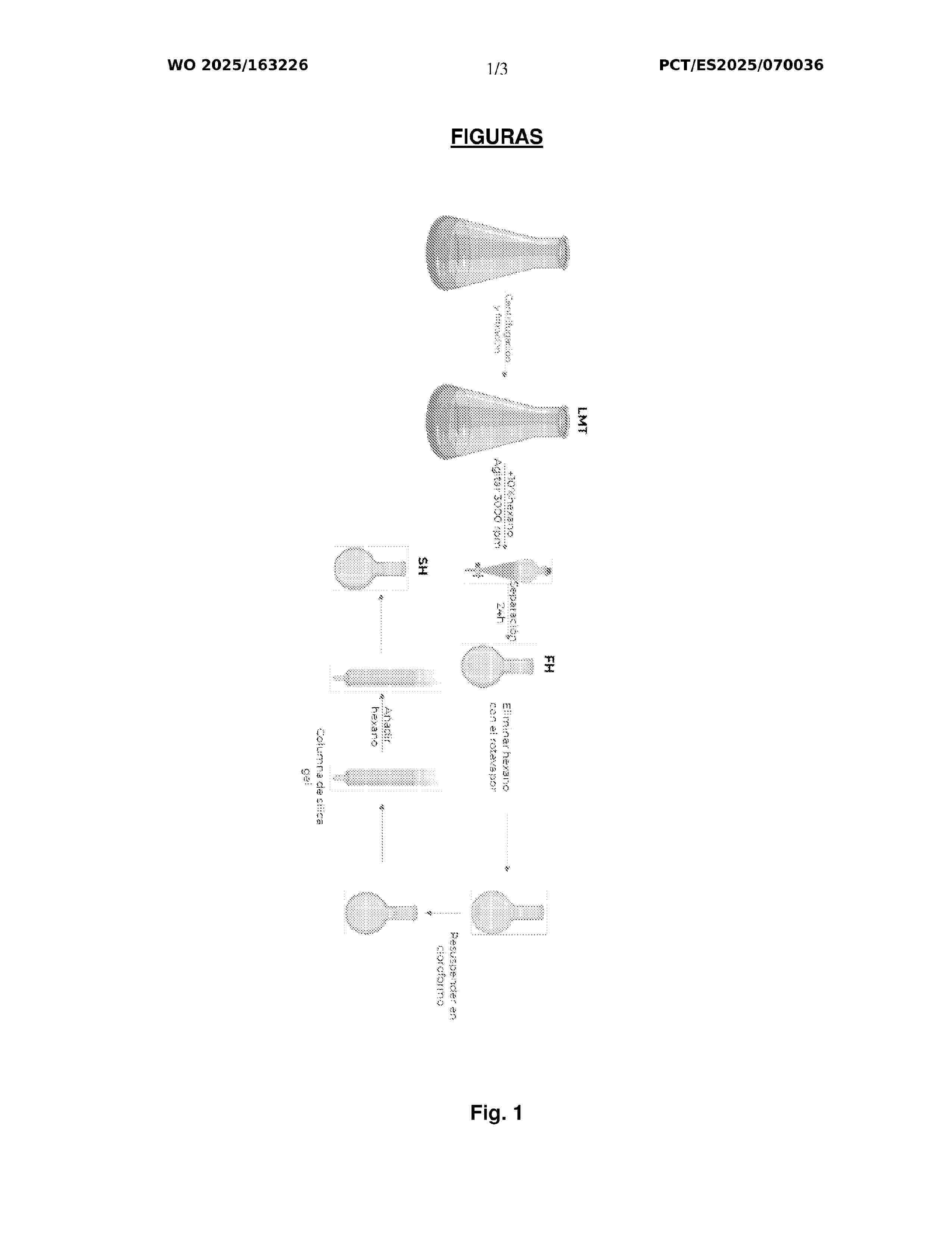 WO_2025163226_A1
