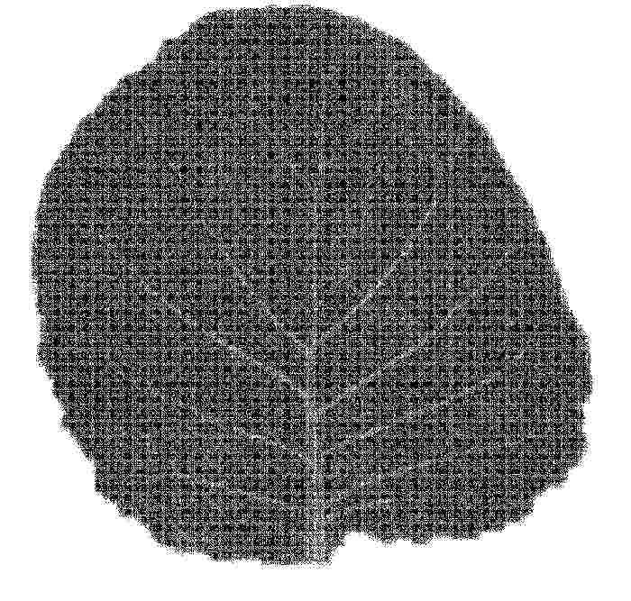 WO_2025164158_PA