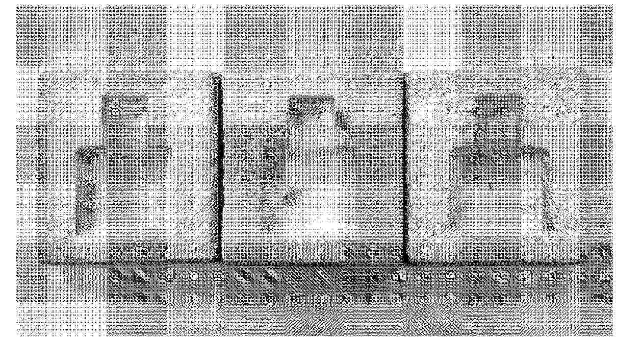 WO_2025164895_PA