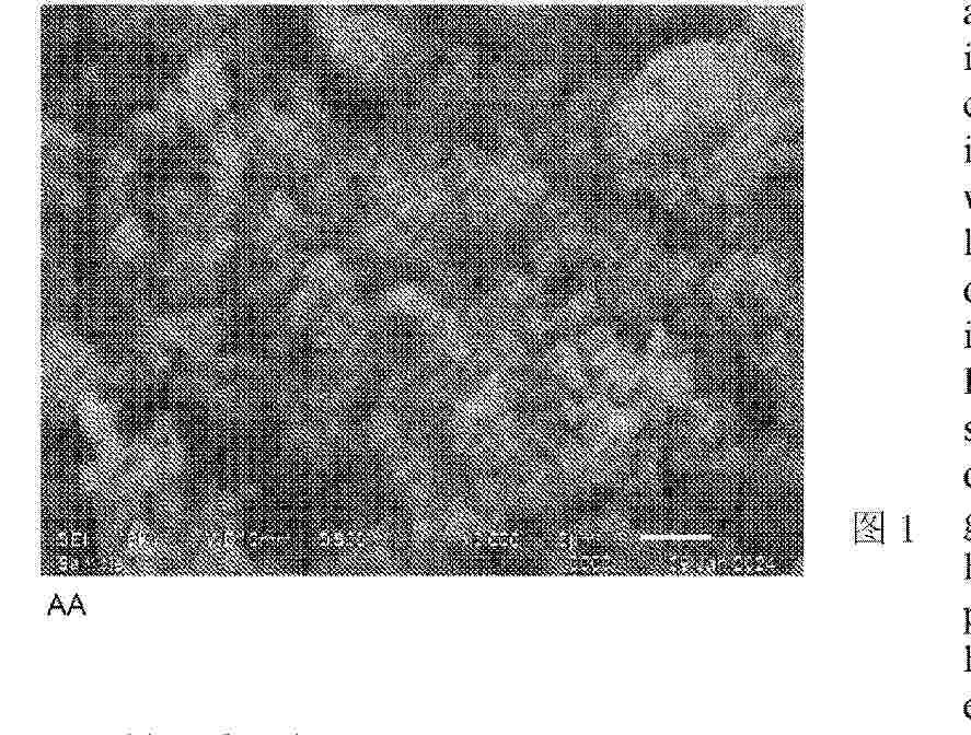 WO_2025167564_PA
