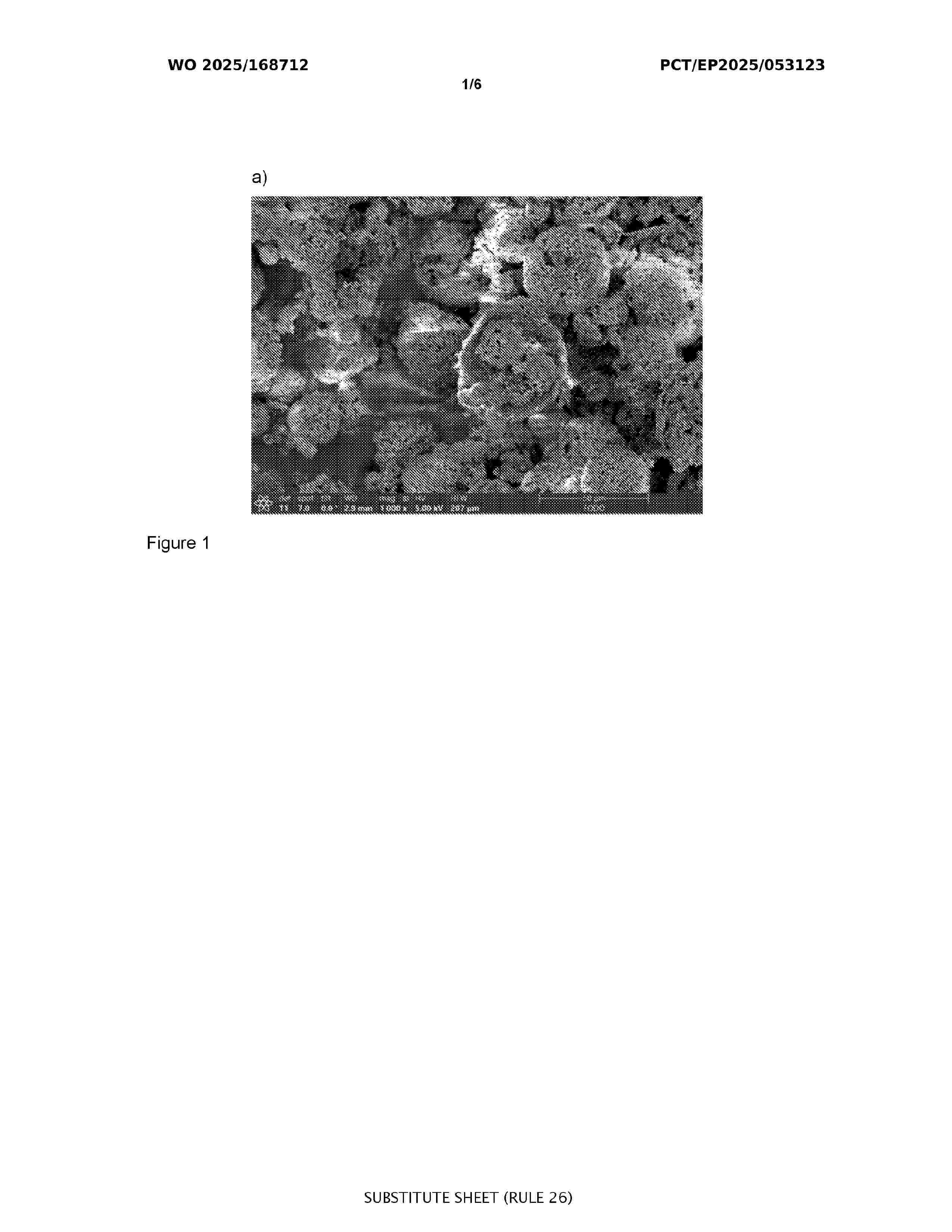 WO_2025168712_A1