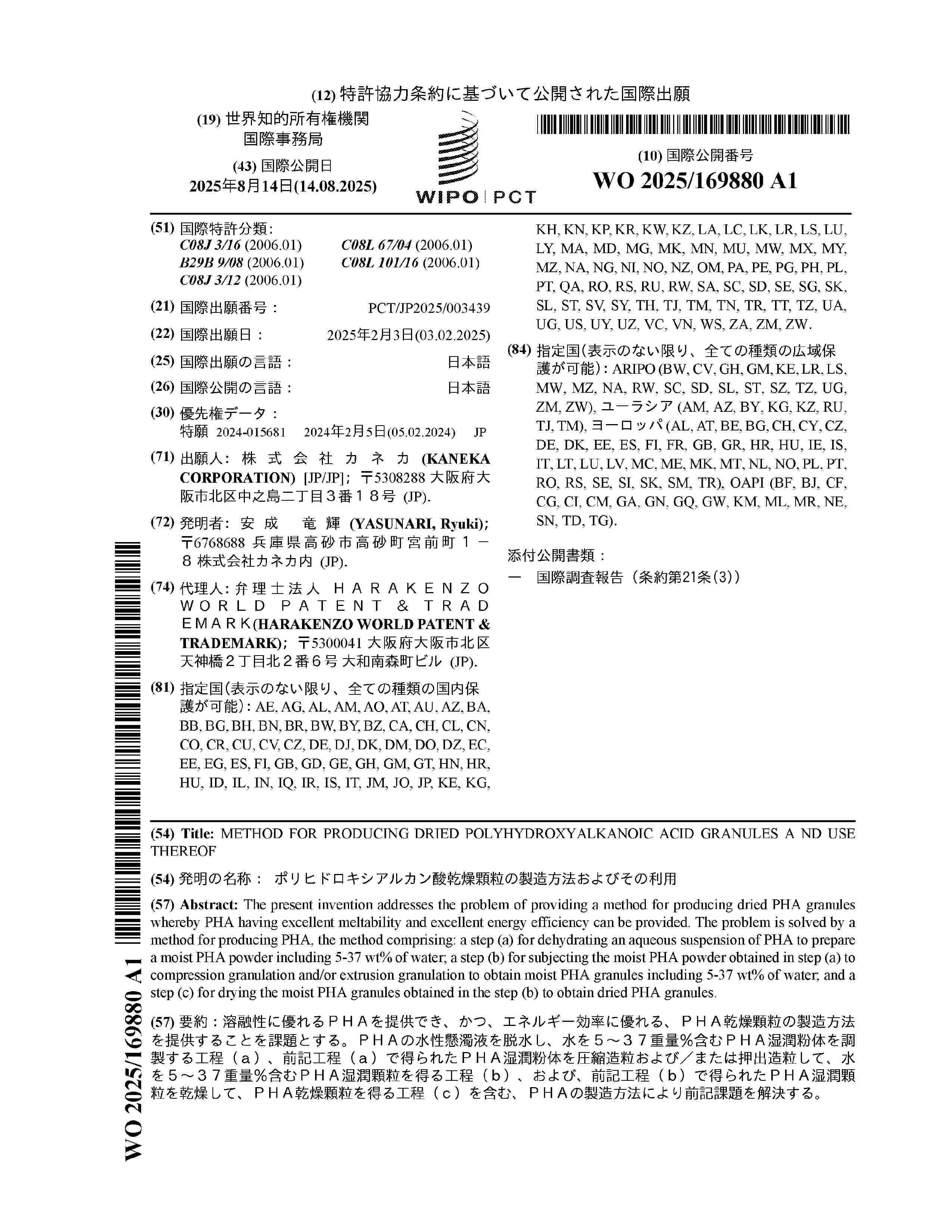 WO_2025169880_A1