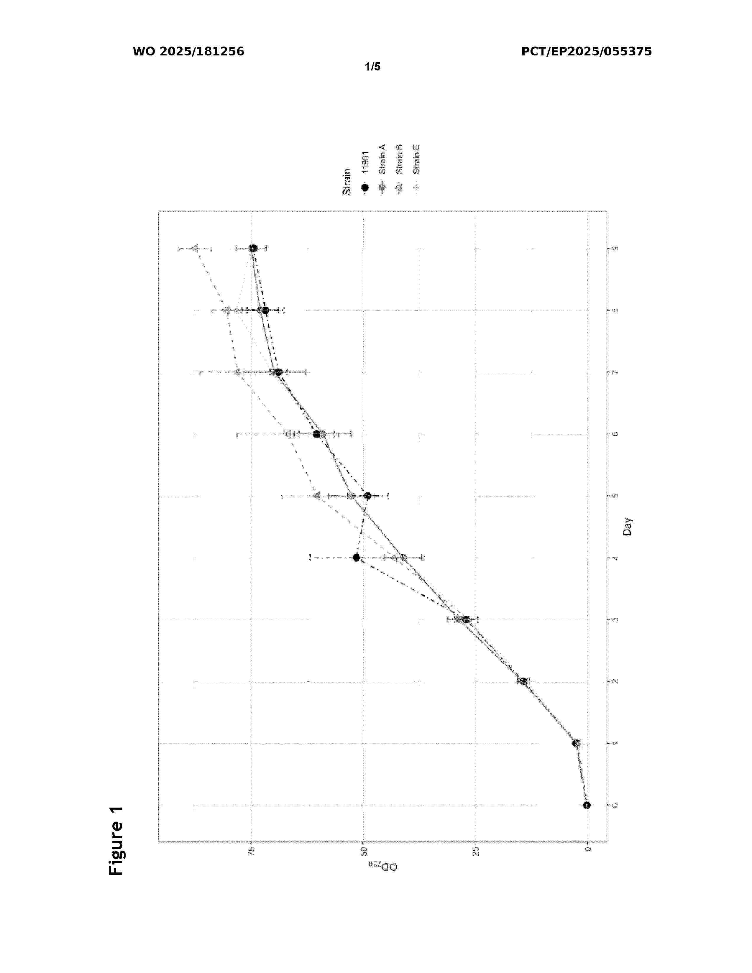 WO_2025181256_A1