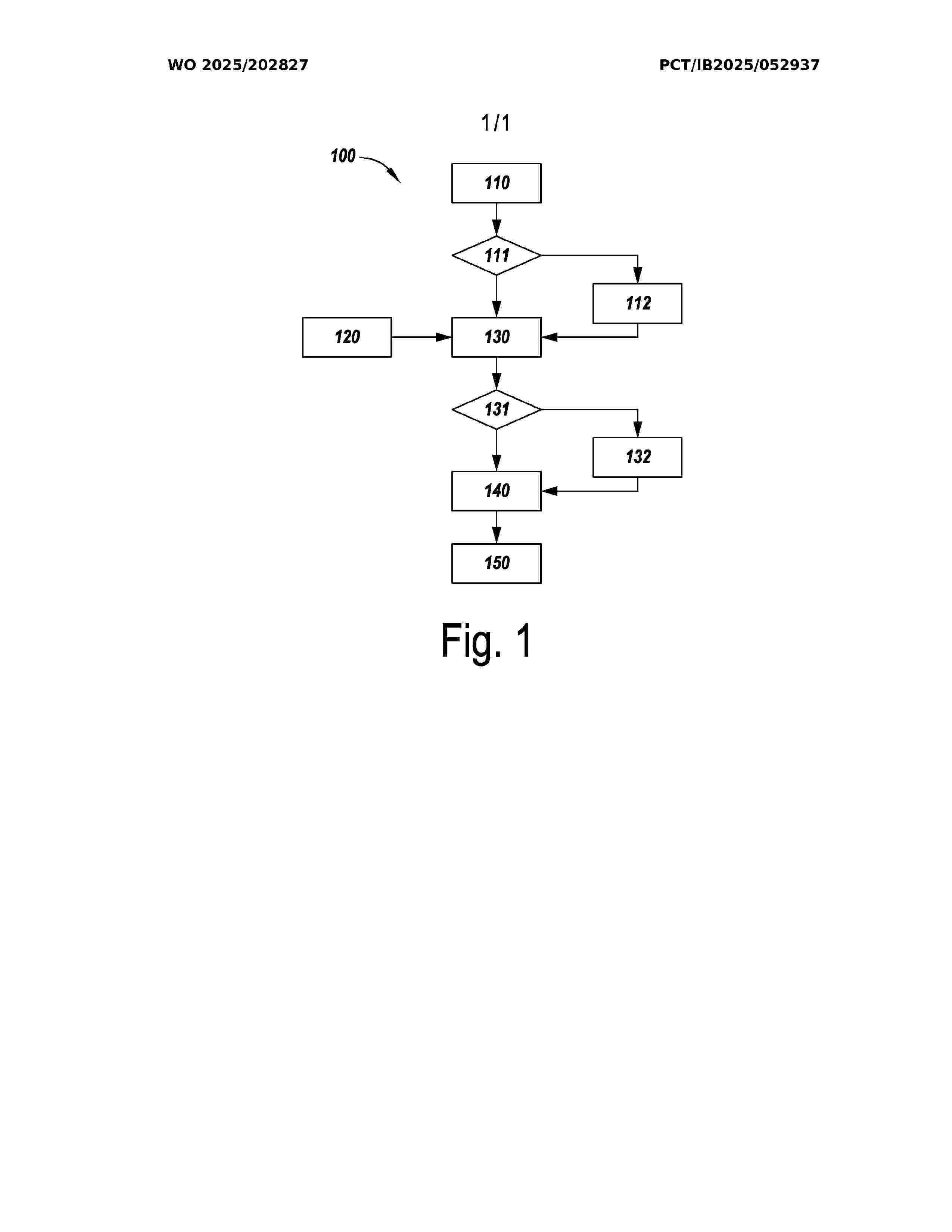 WO_2025202827_A1