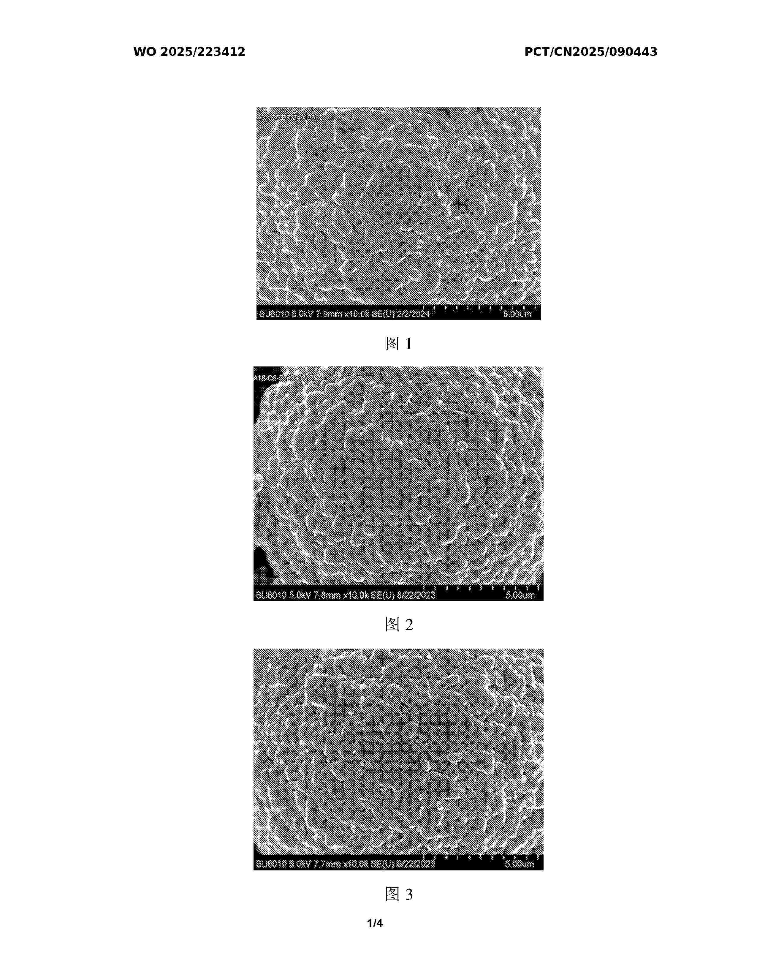 WO_2025223412_A1
