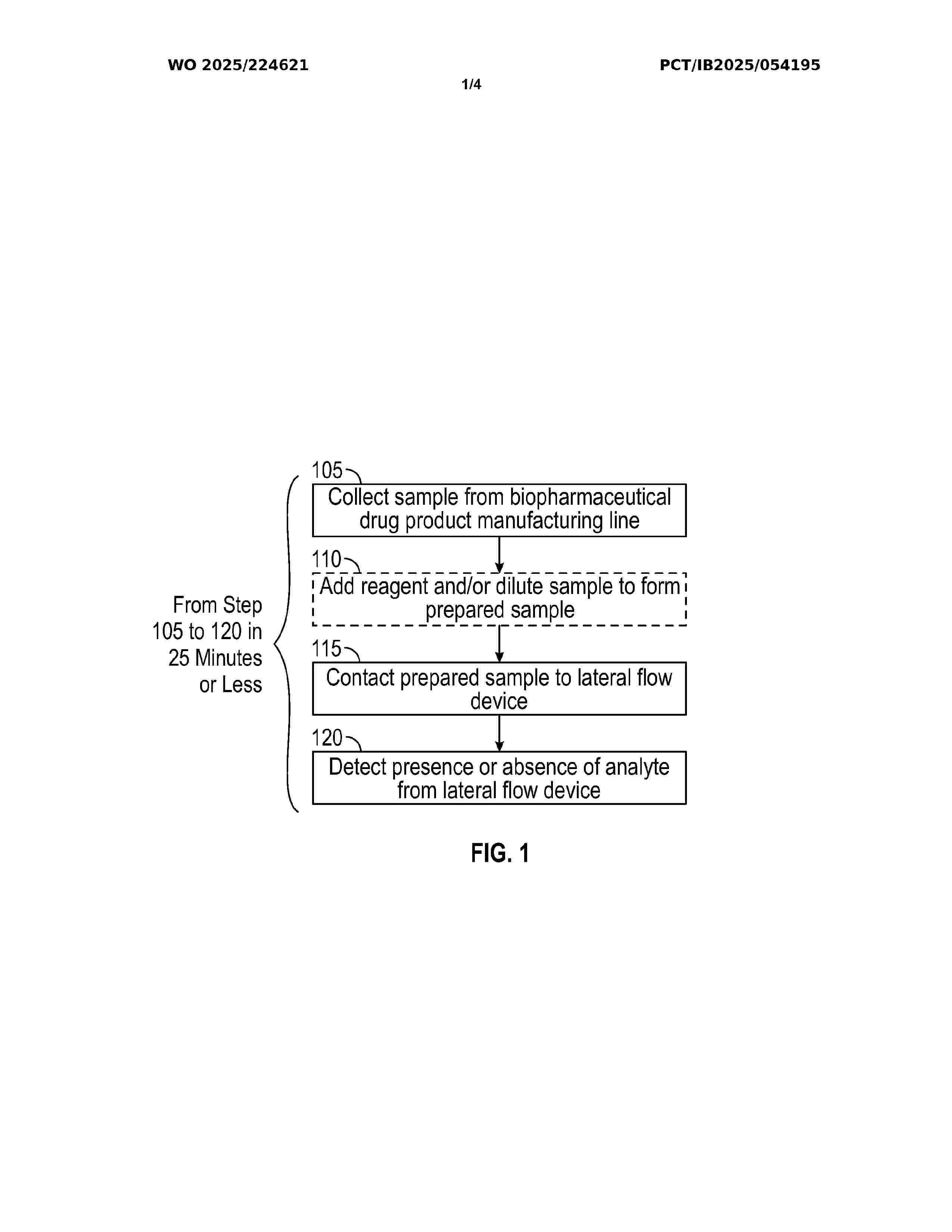 WO_2025224621_A1