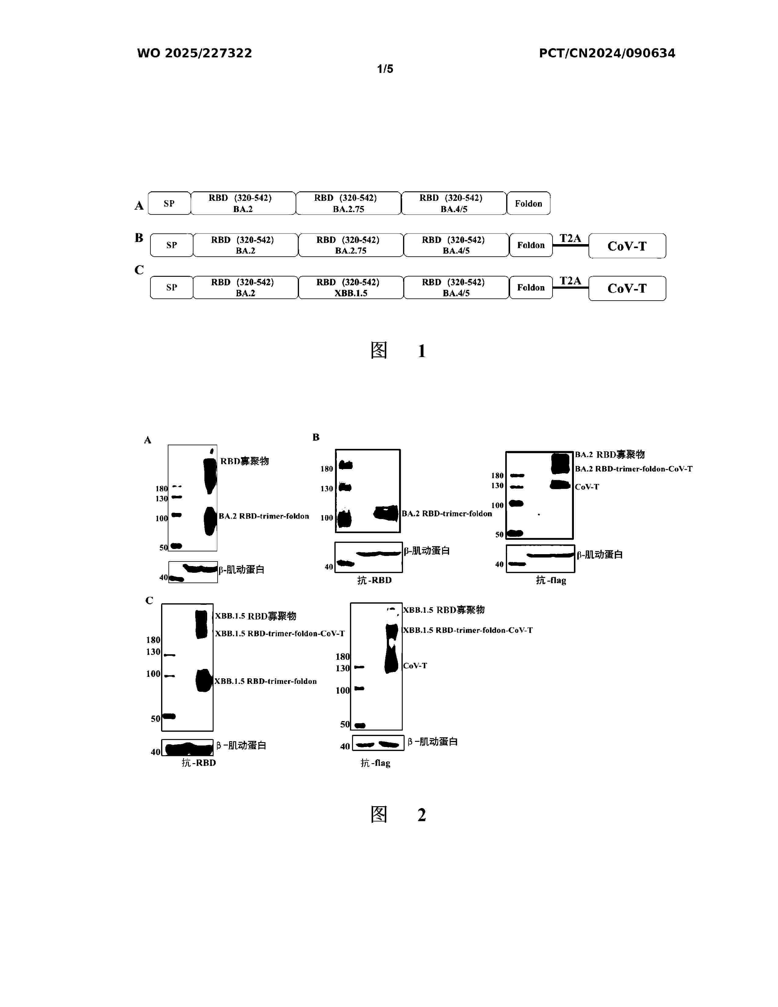 WO_2025227322_A1