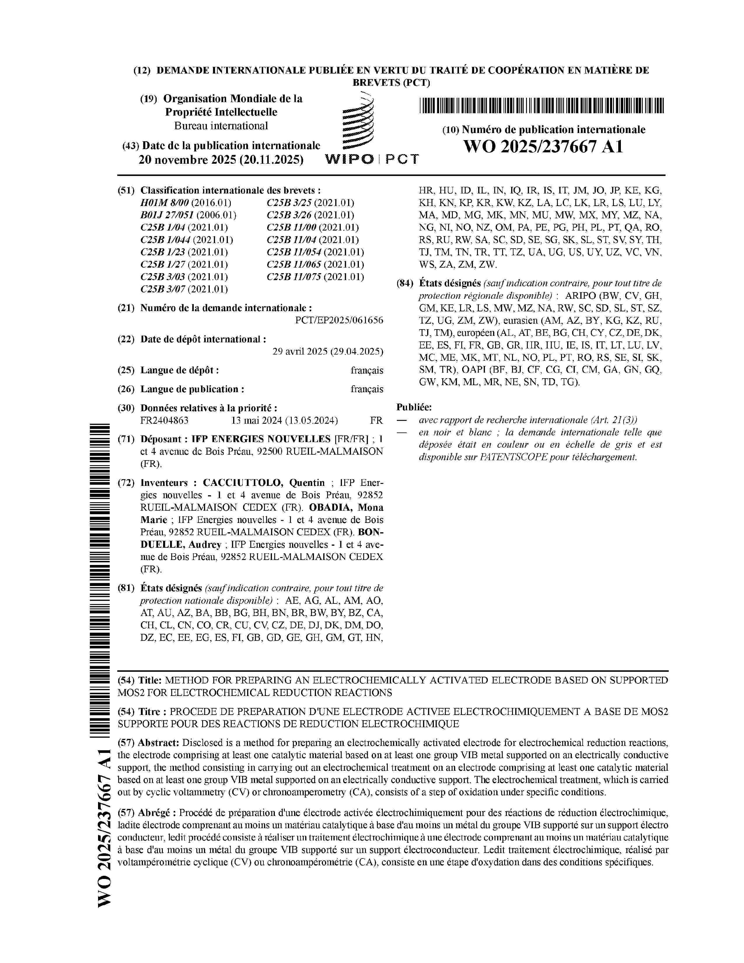 WO_2025237667_A1