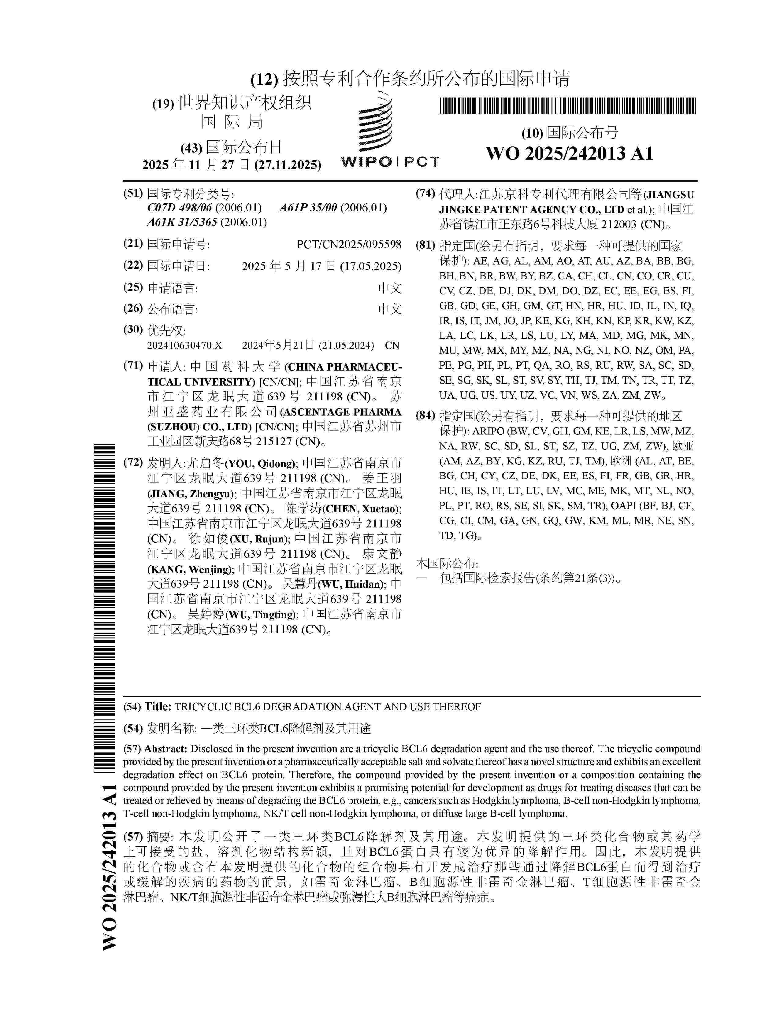 WO_2025242013_A1