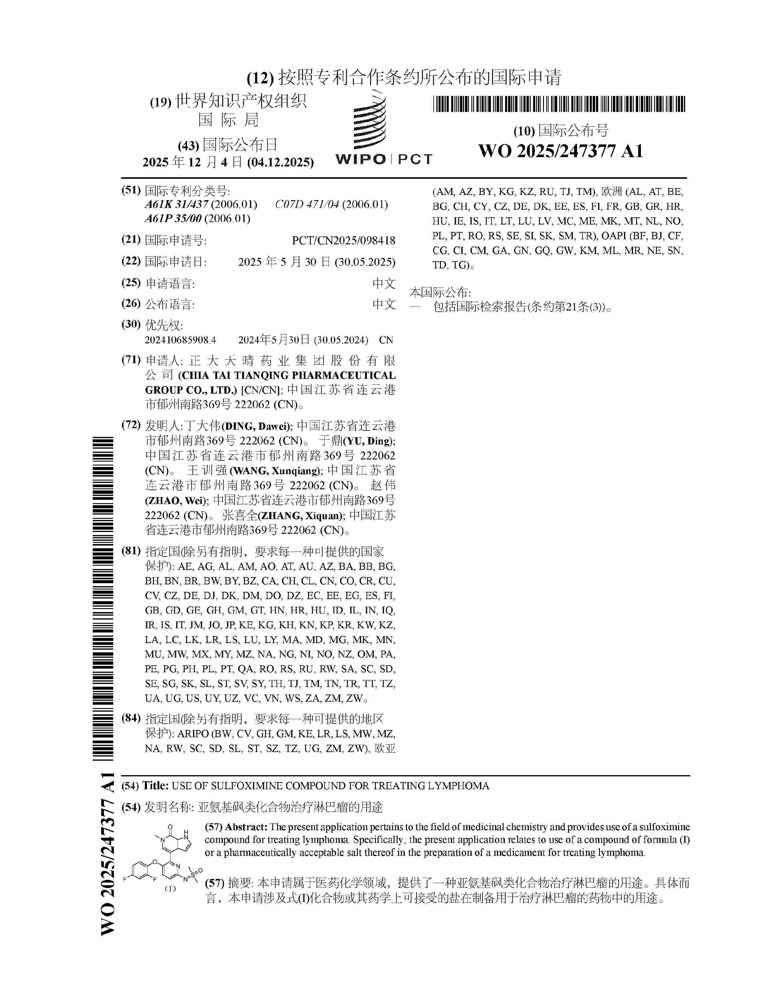 WO_2025247377_A1
