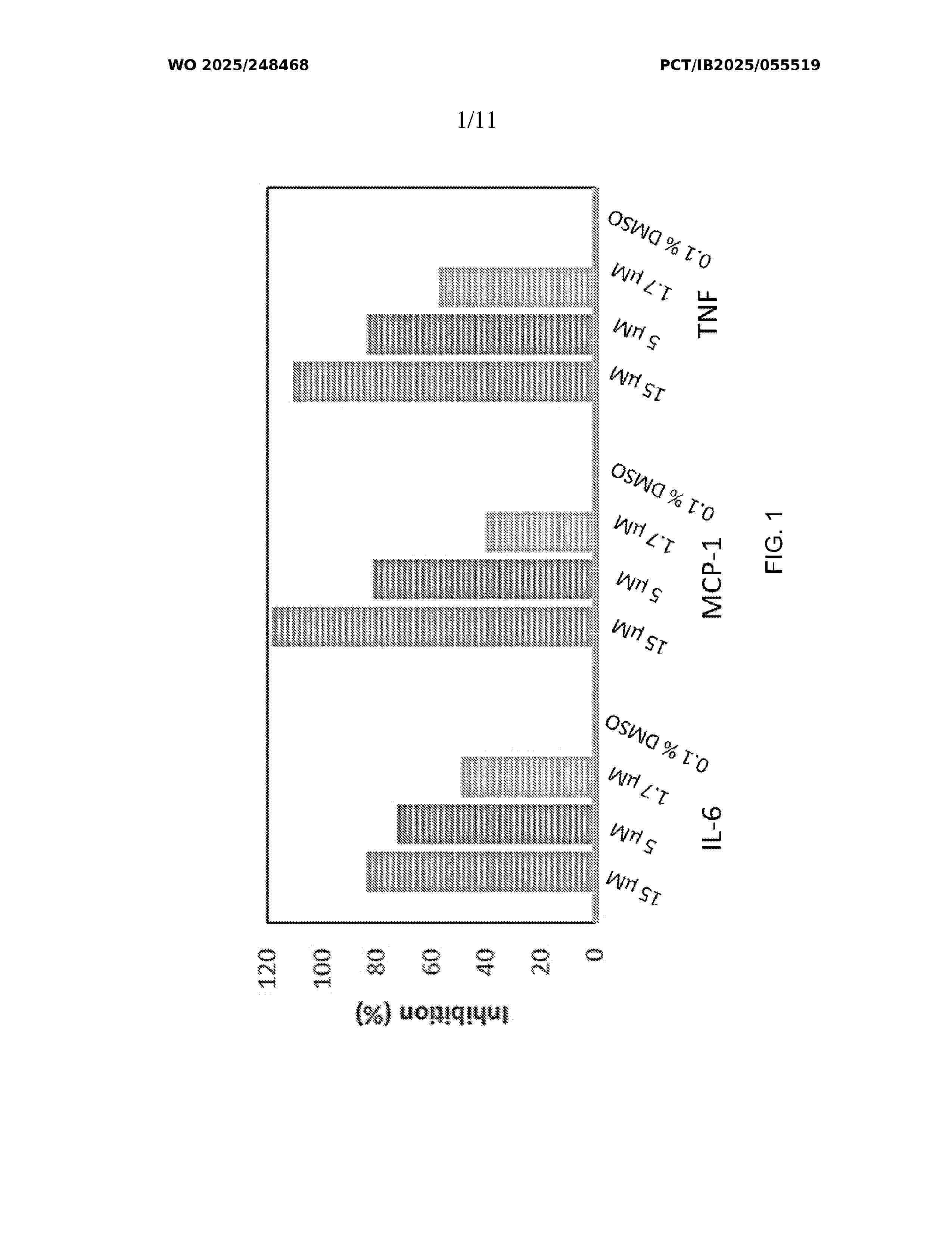 WO_2025248468_A1