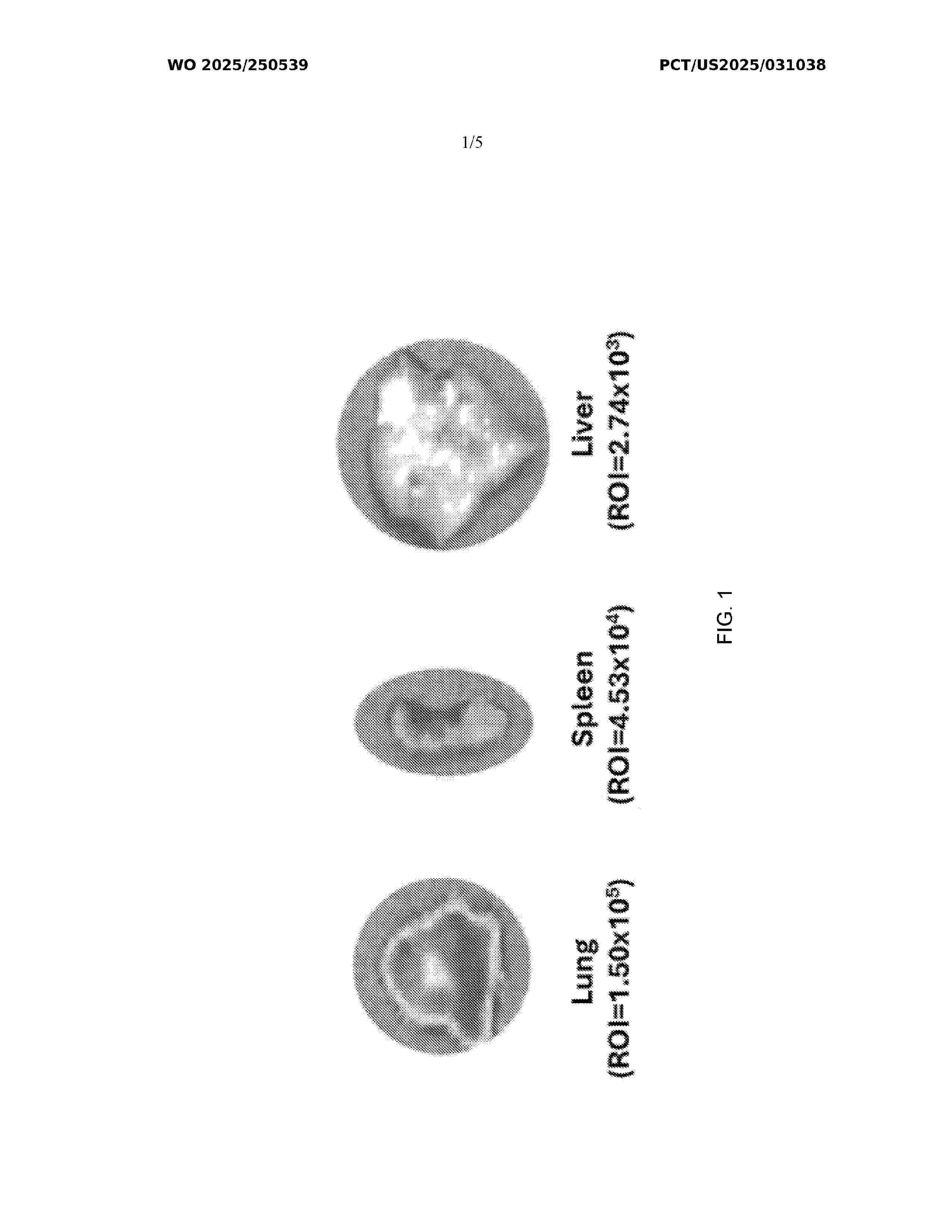 WO_2025250539_A1
