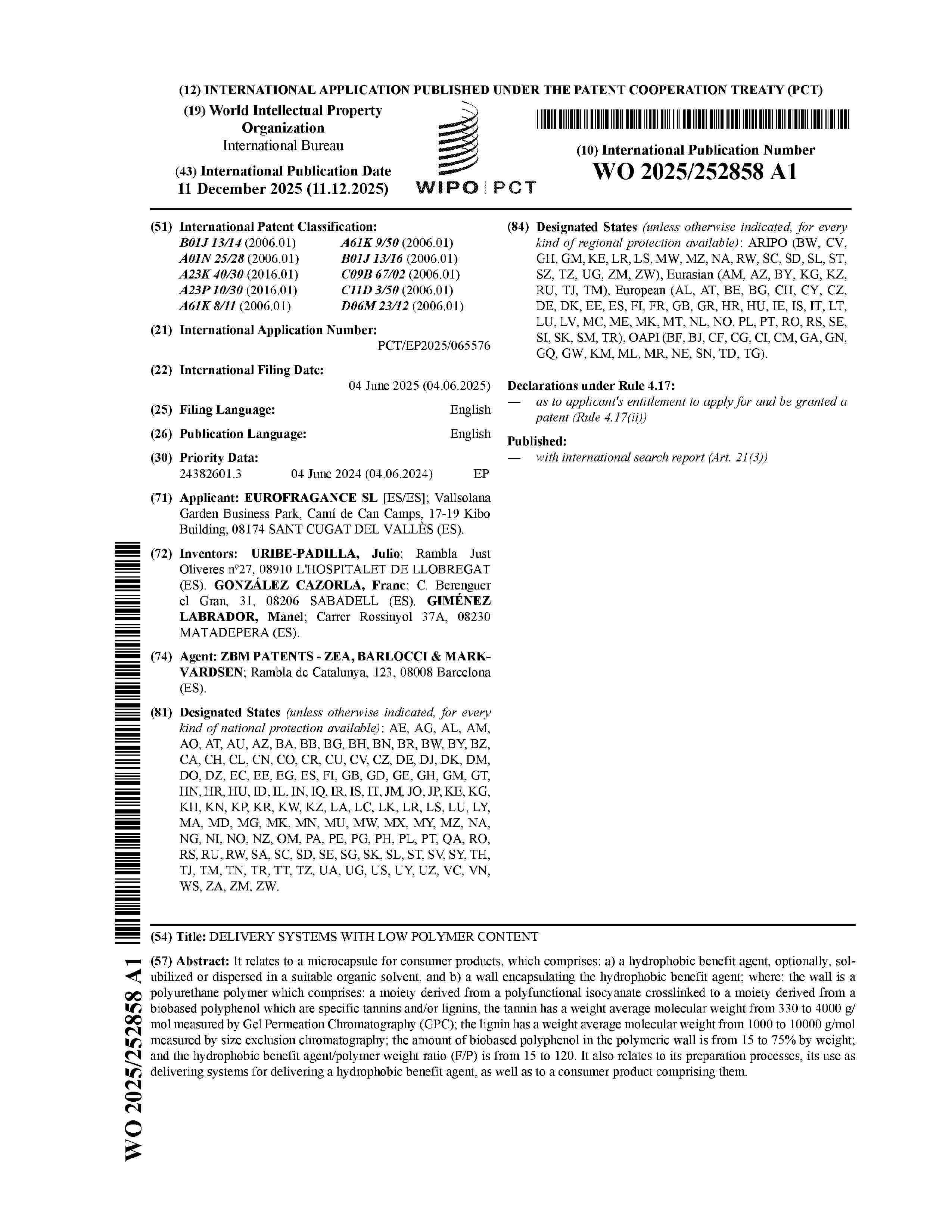 WO_2025252858_A1