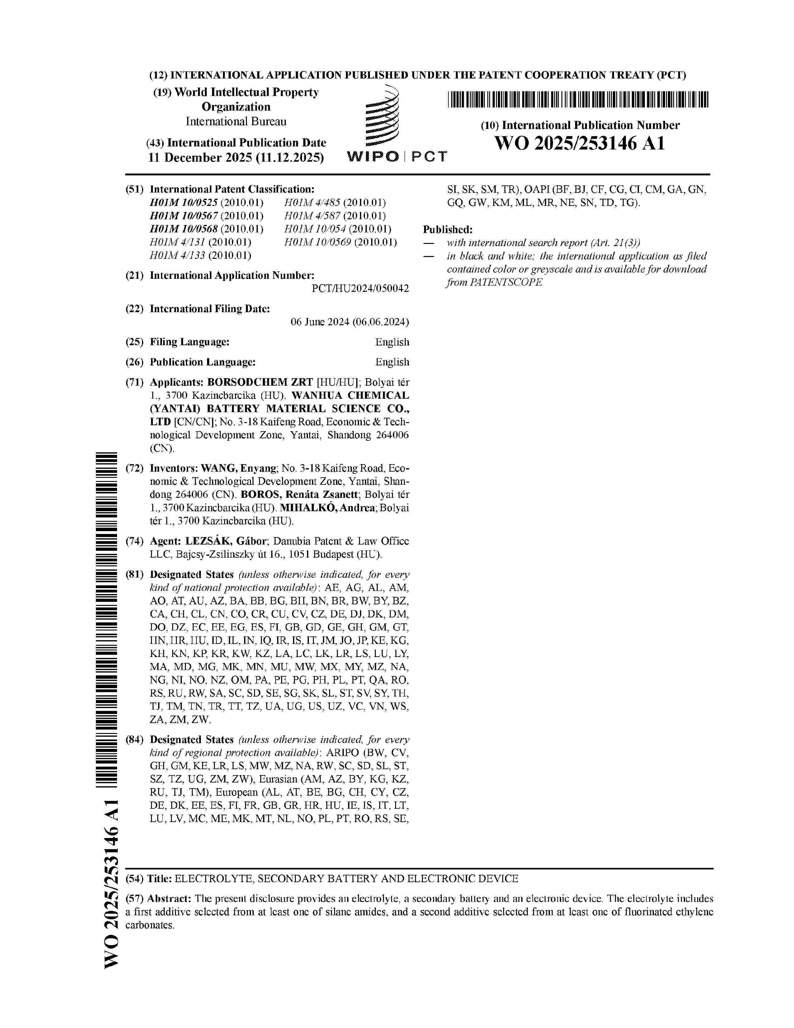 WO_2025253146_A1