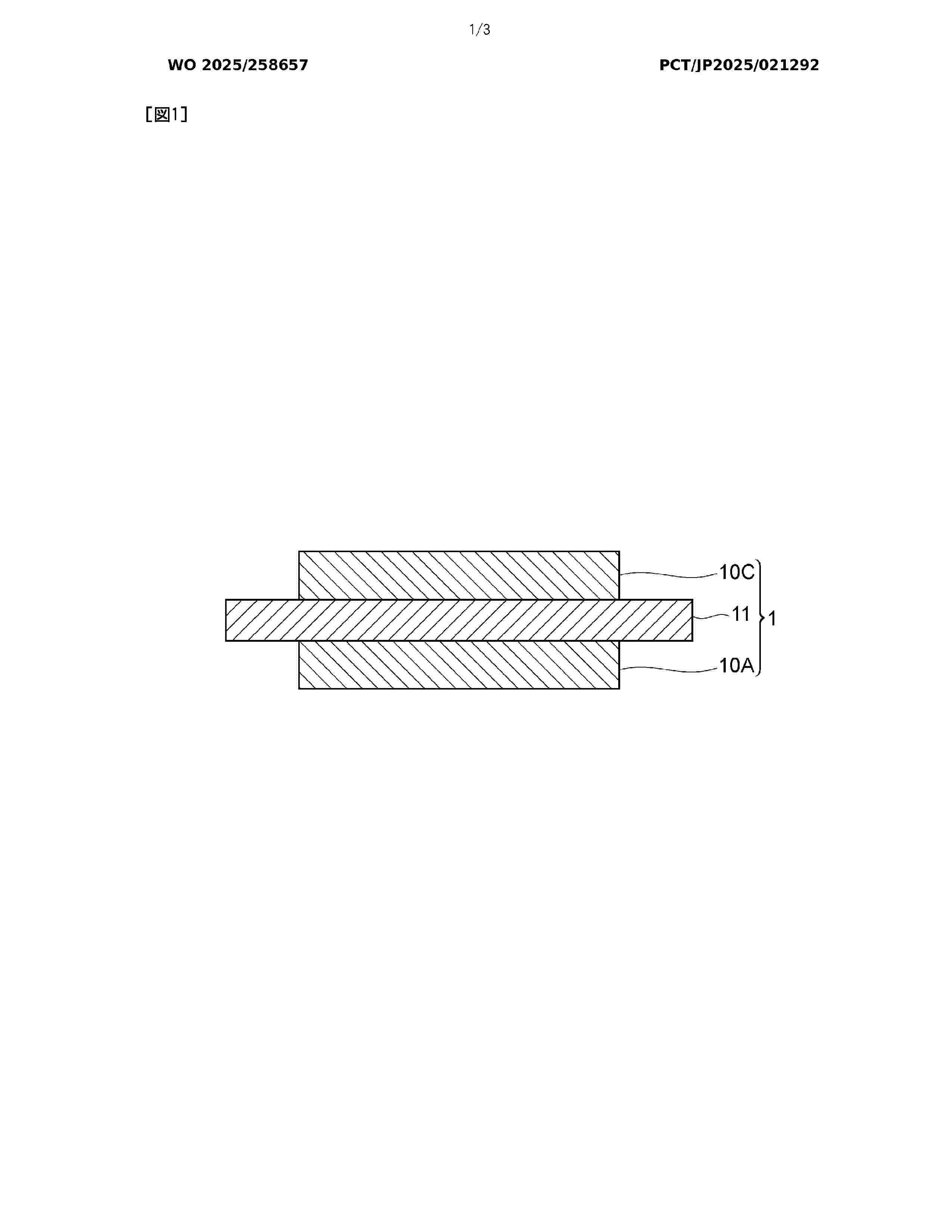 WO_2025258657_A1