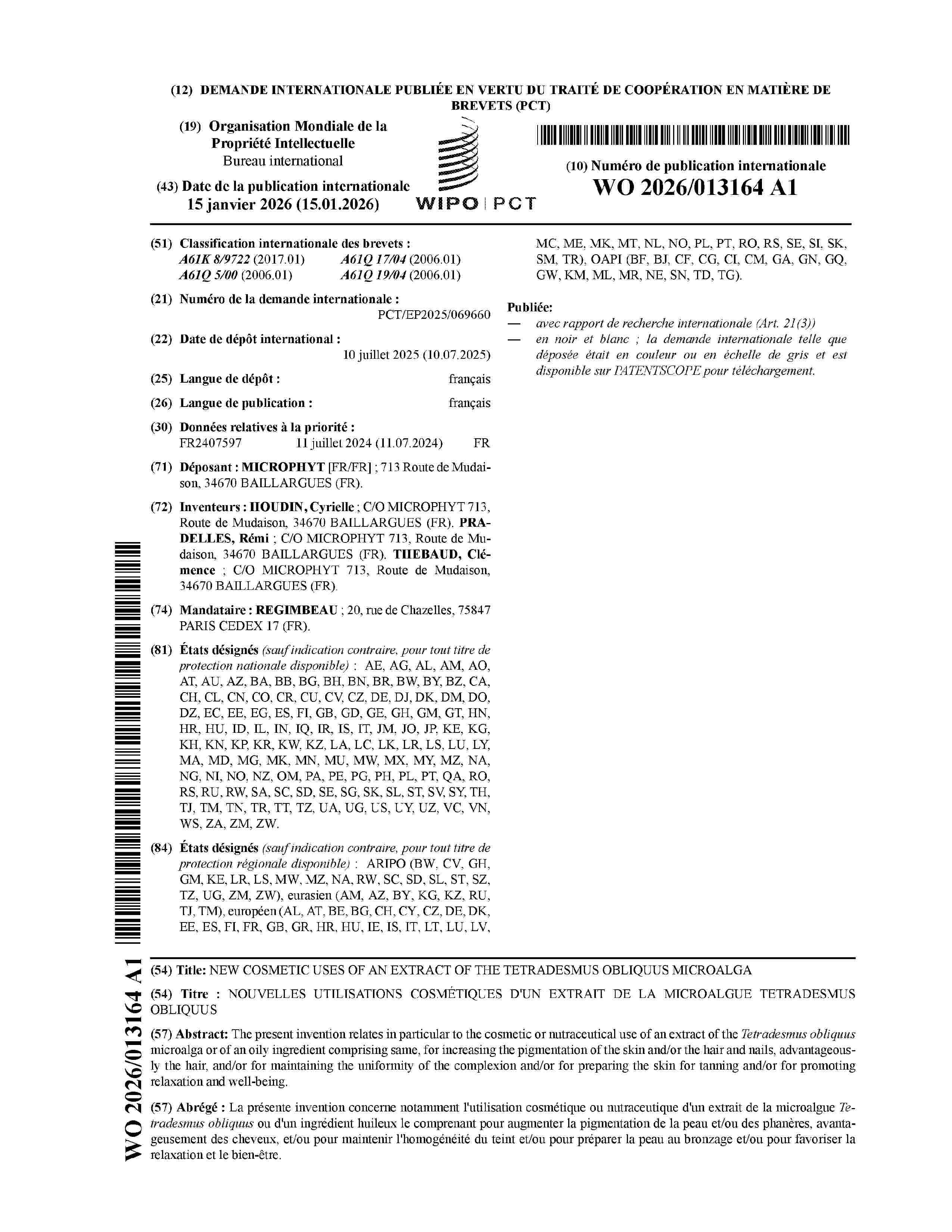 WO_2026013164_A1