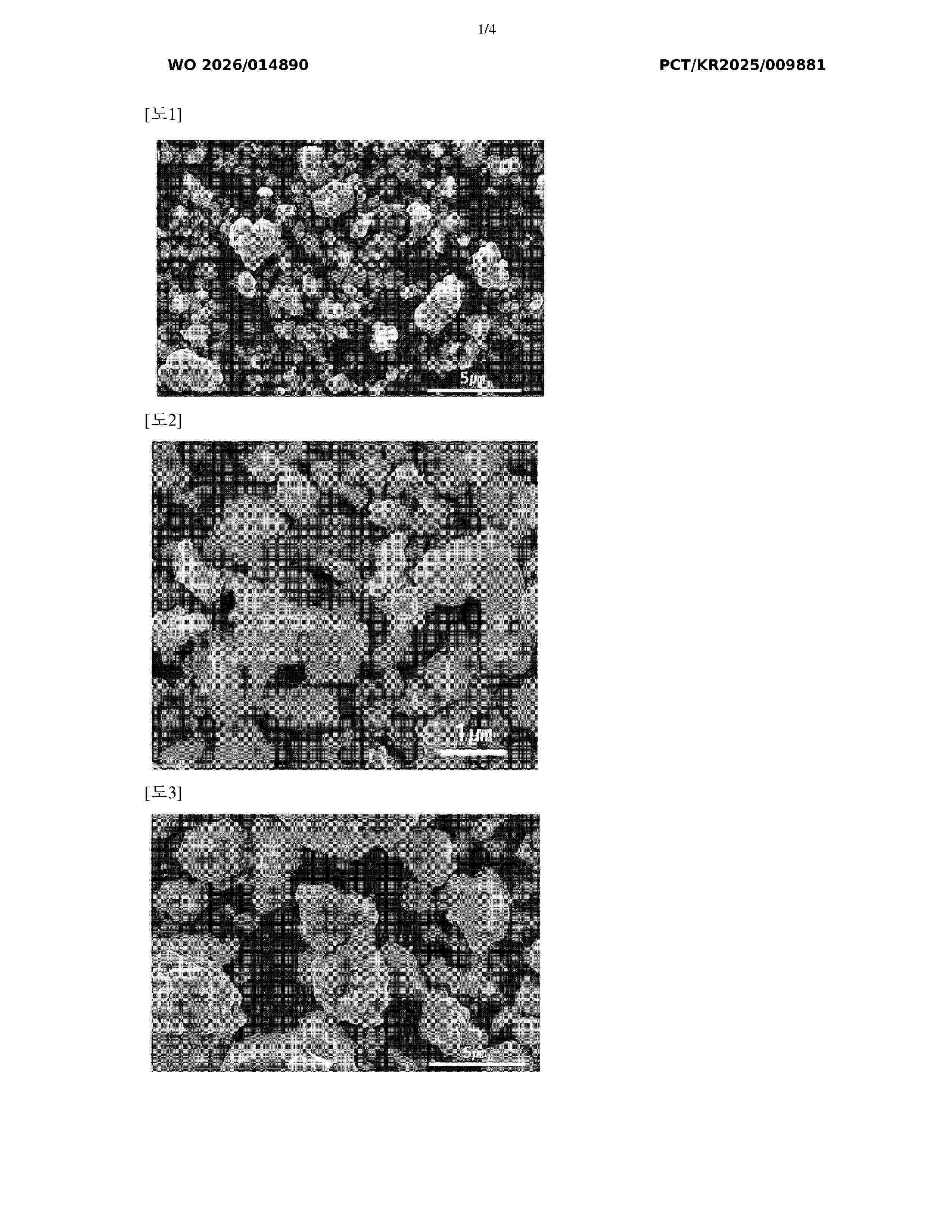WO_2026014890_A1
