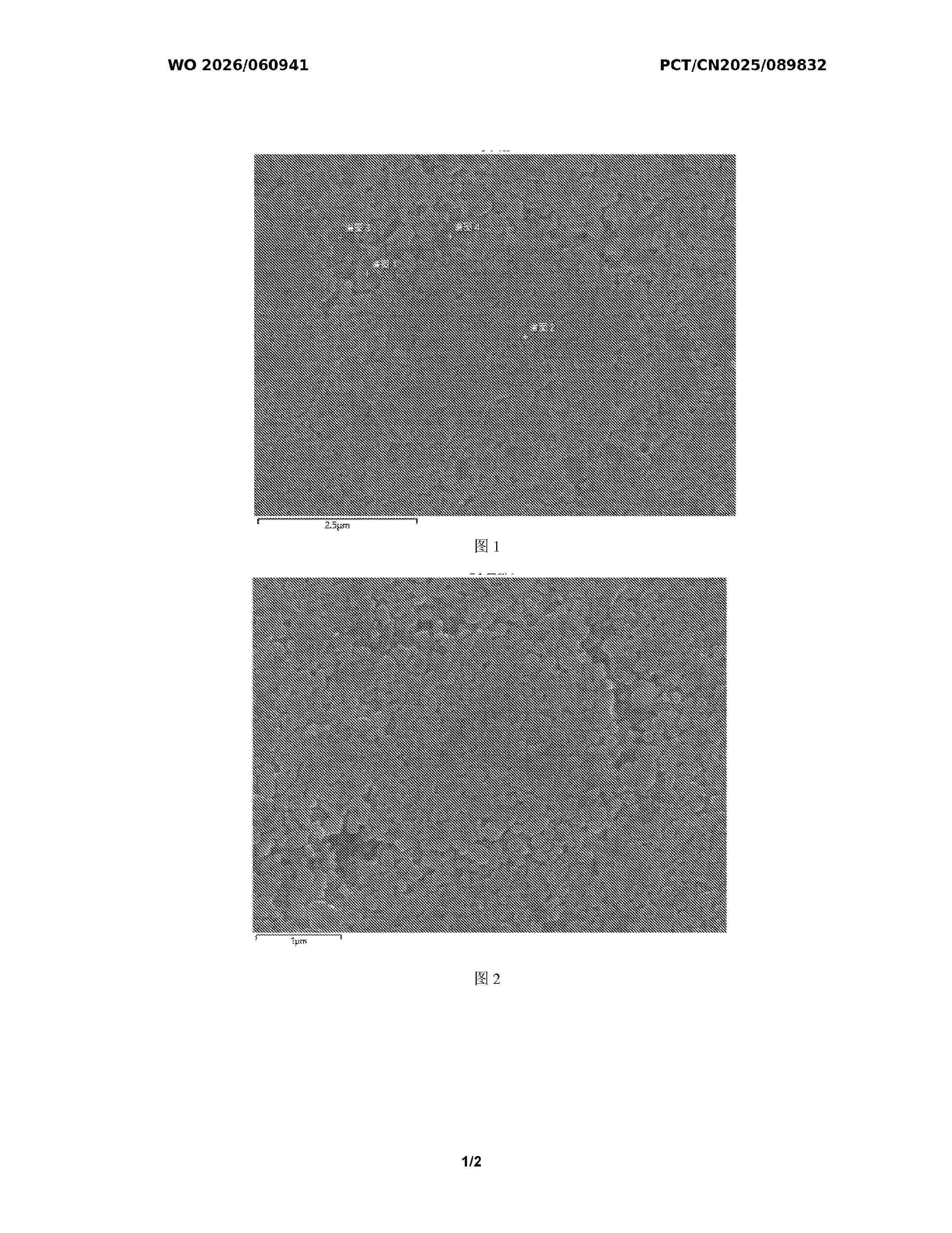 WO_2026060941_A1